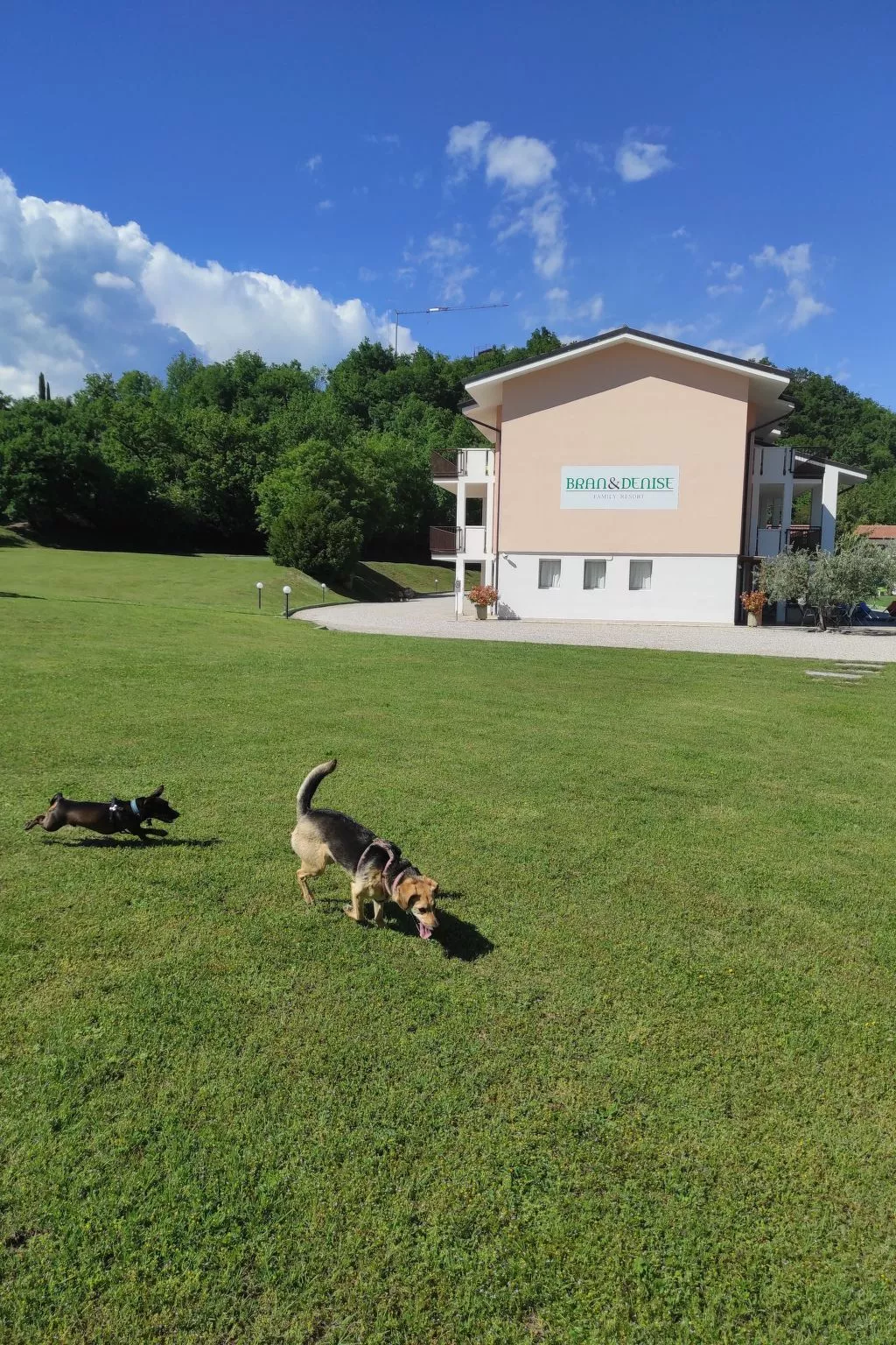 Wohnung in Costermano mit privatem Parkplatz-Buiten