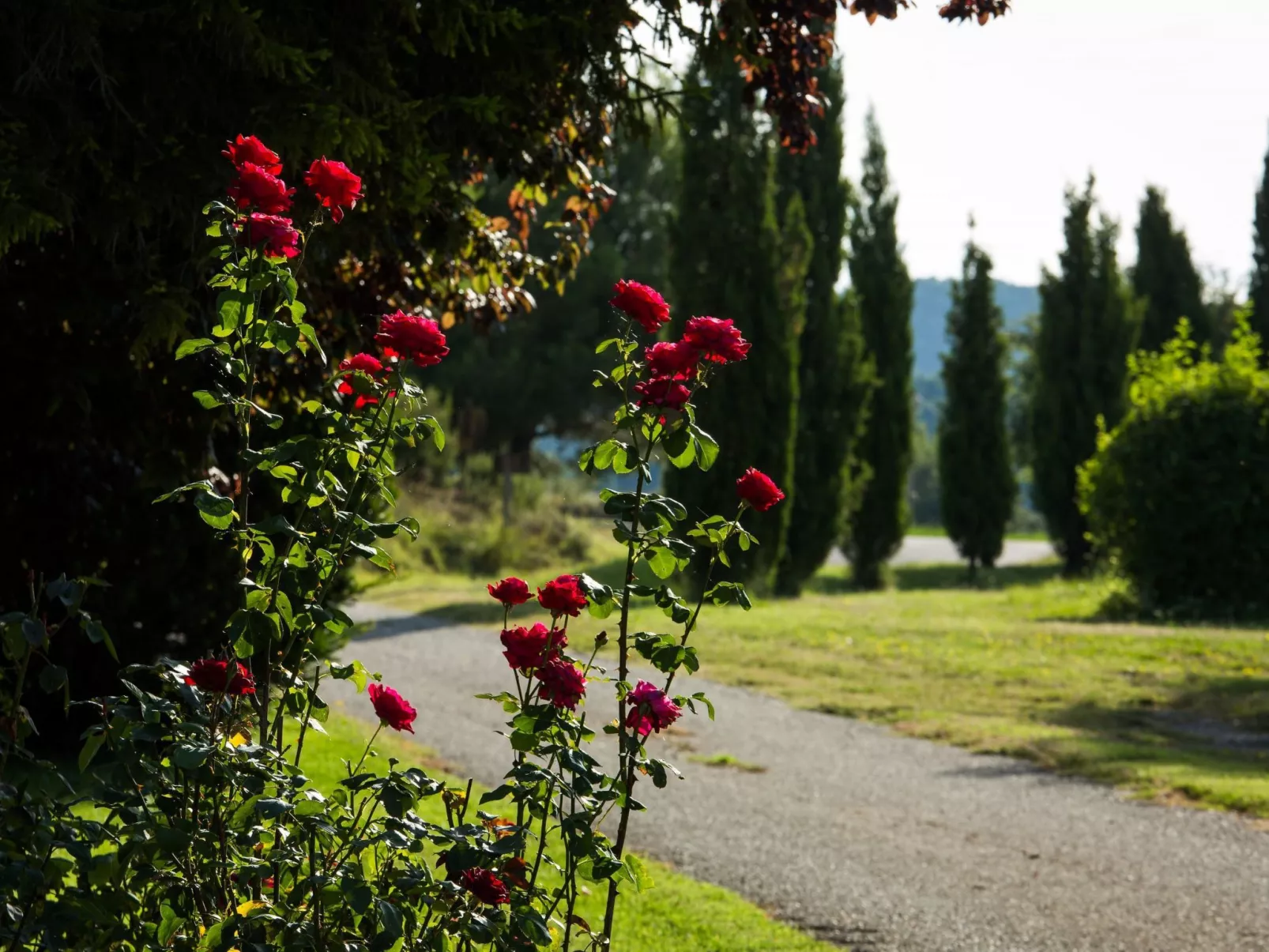 Wohnung "El Corral" mit Terrasse-Buiten