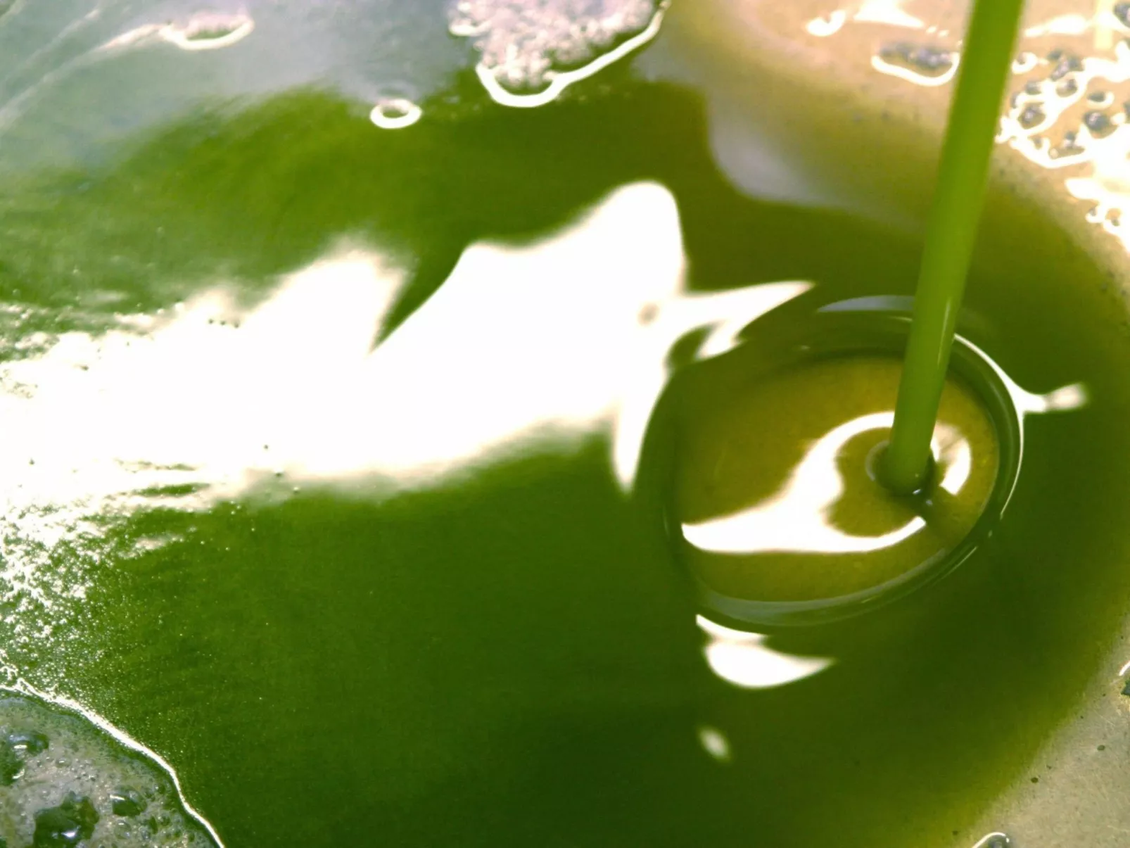 Anwesen "Frantoio" mit Infinity-Pool-Image-tags.info