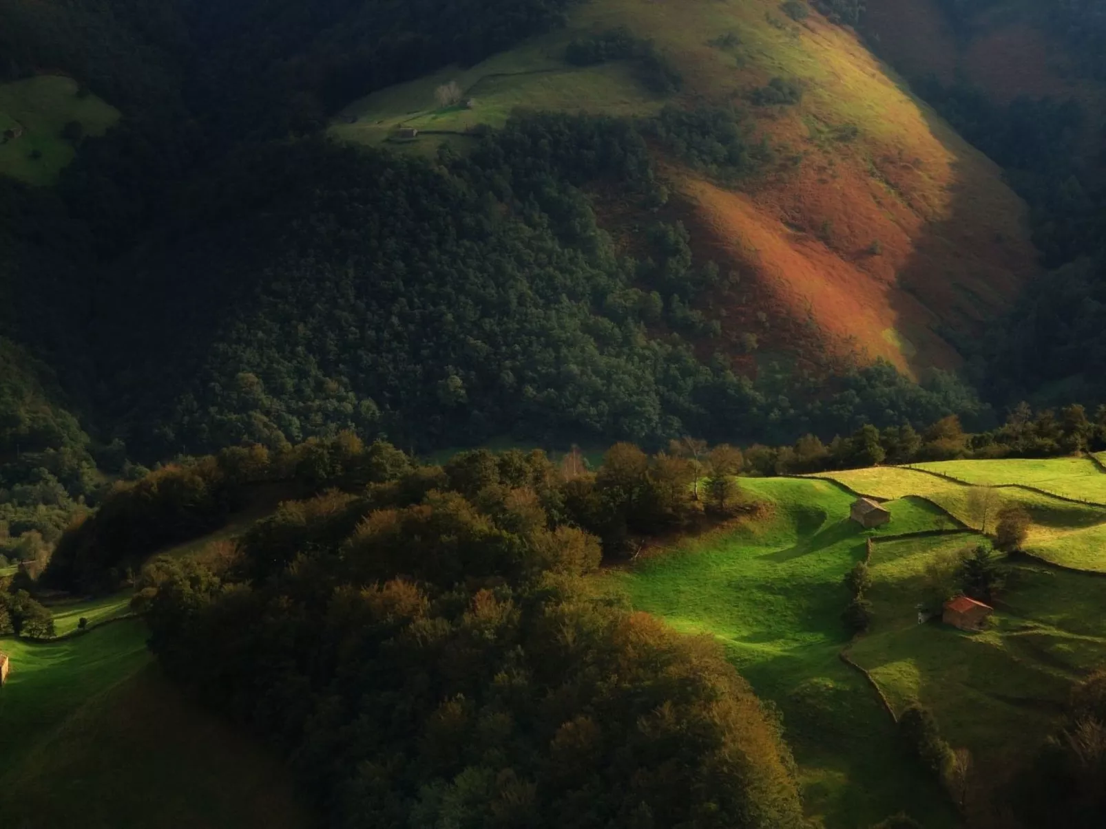 Fachwerkhaus mit Garten-Image-tags.info