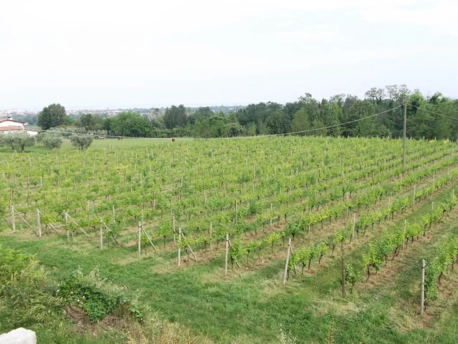 Villa Paradiso, 200 m² Ferienhaus