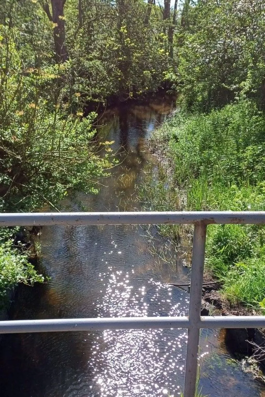 Möllis Ferienwohnung-Buiten