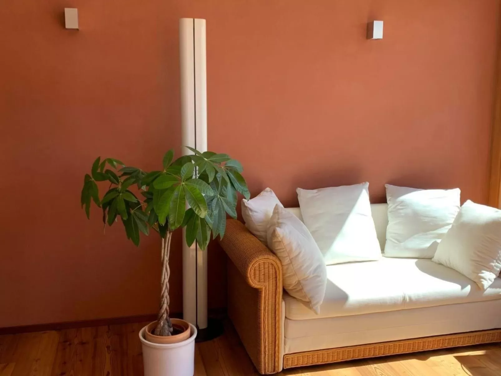 MFH Terr‘in tschêl