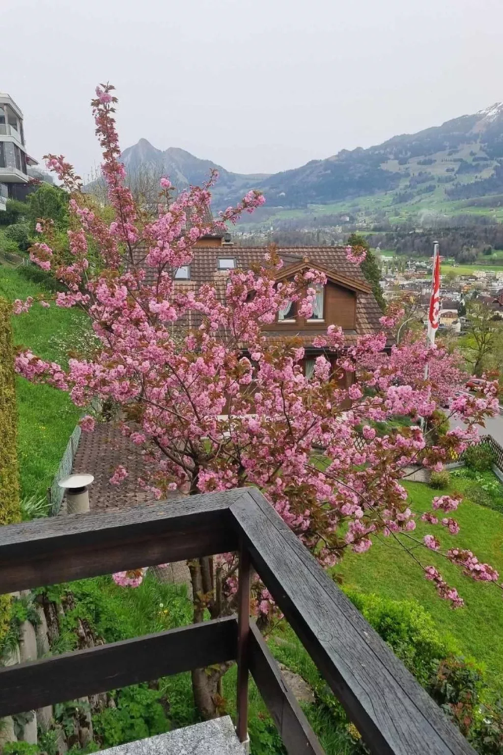 Charmantes Chalet Apartment mit Aussicht