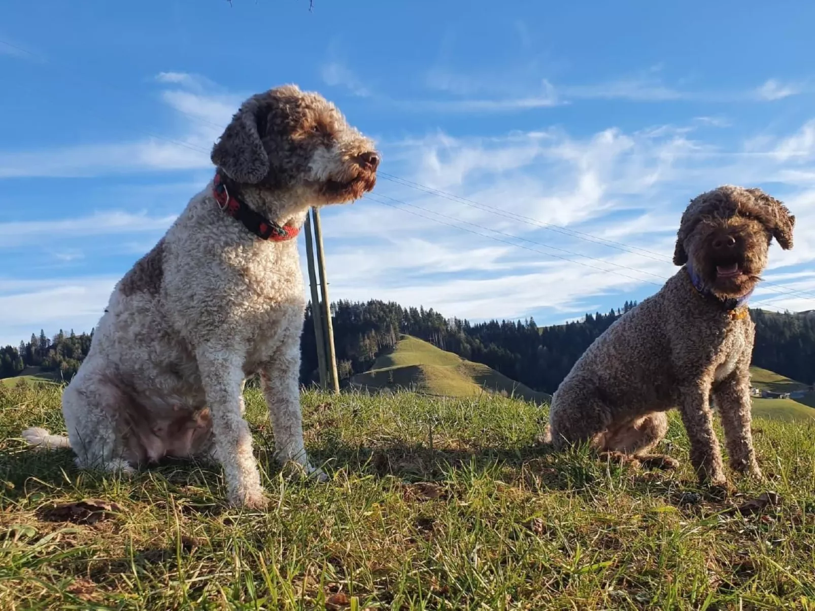 Ober-Tiefenbühl-Buiten
