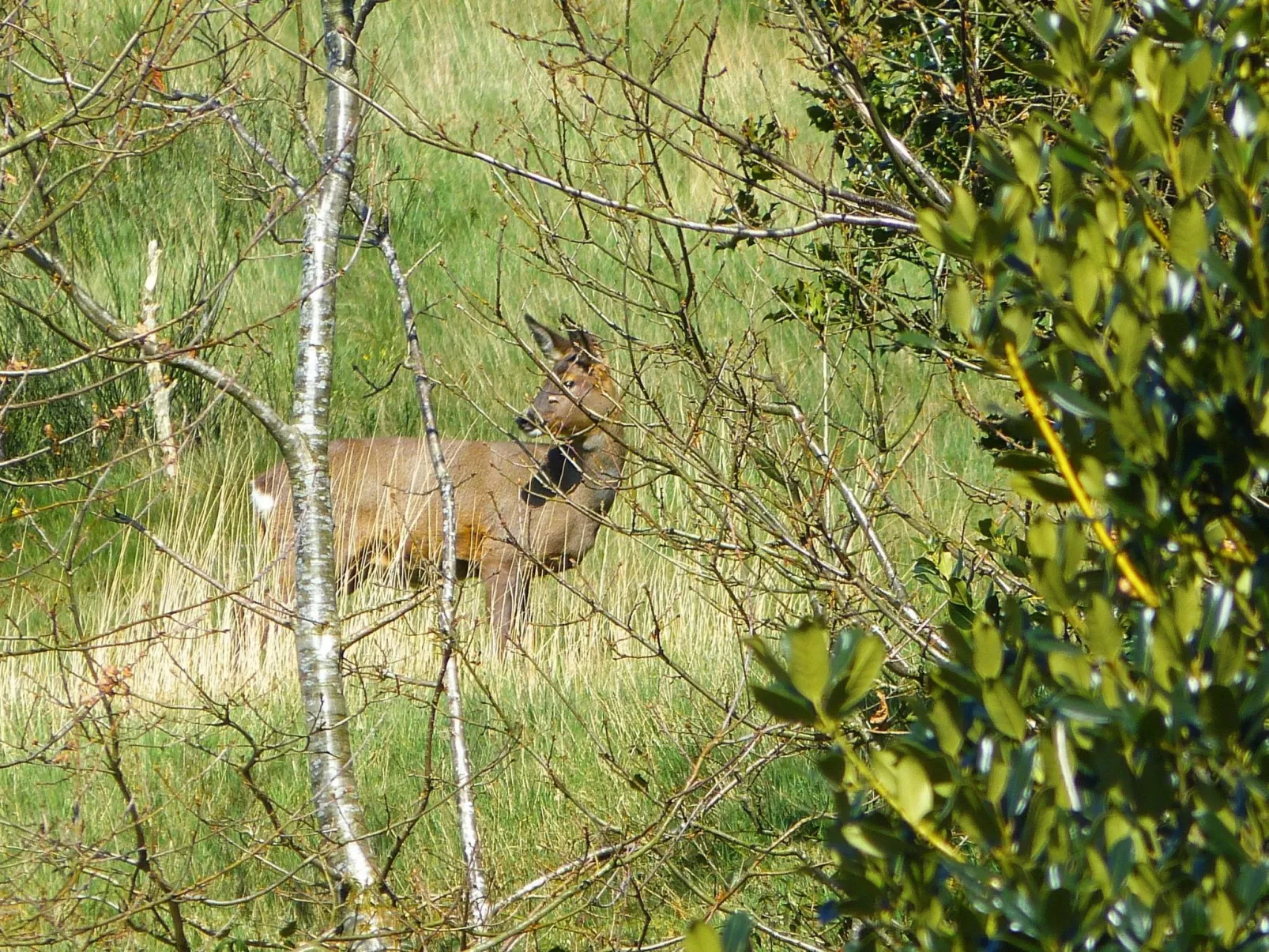 Gemütliches Ferienhaus für 2 Personen und 1 Kind