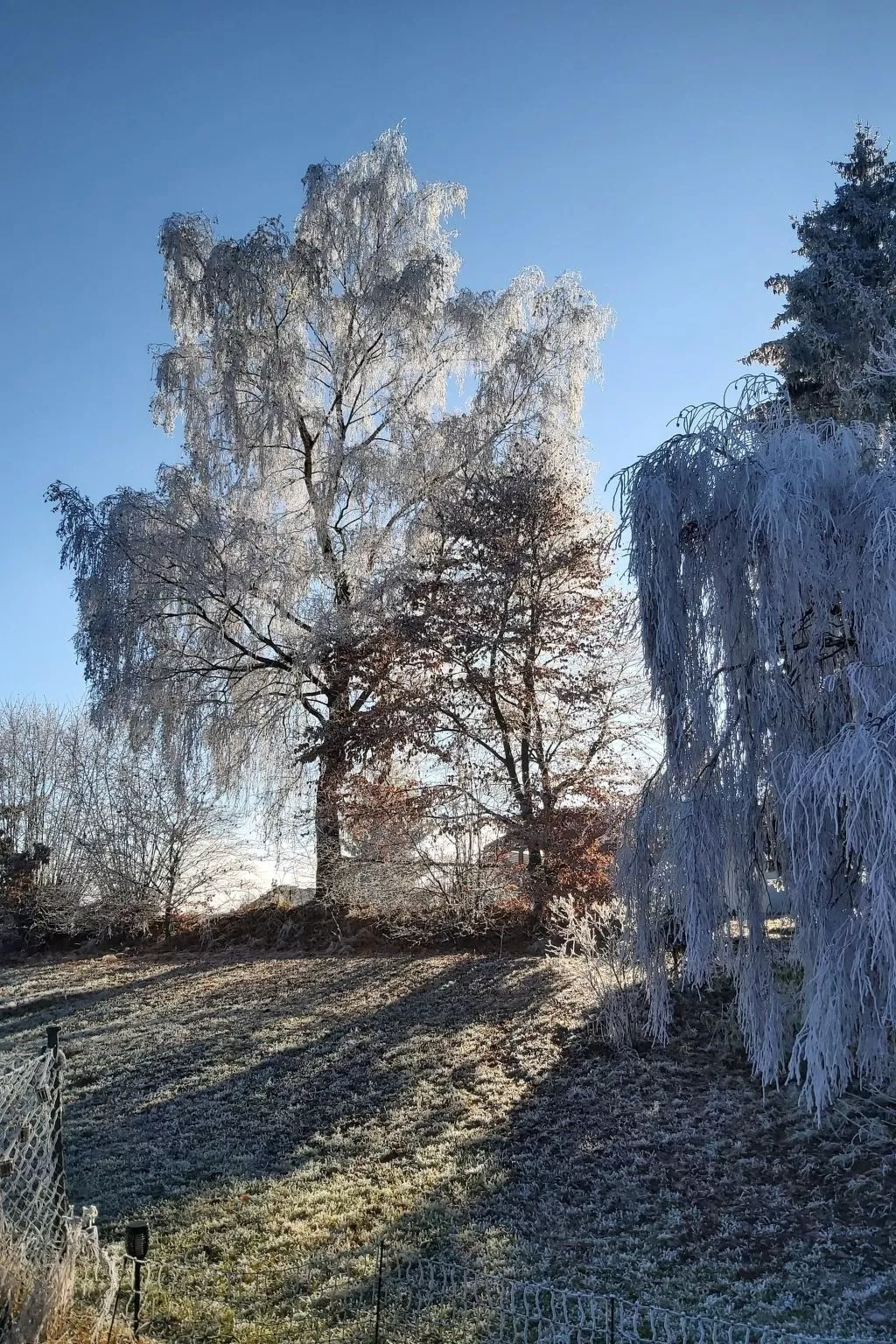 AnNo- Wohlfühlidylle
