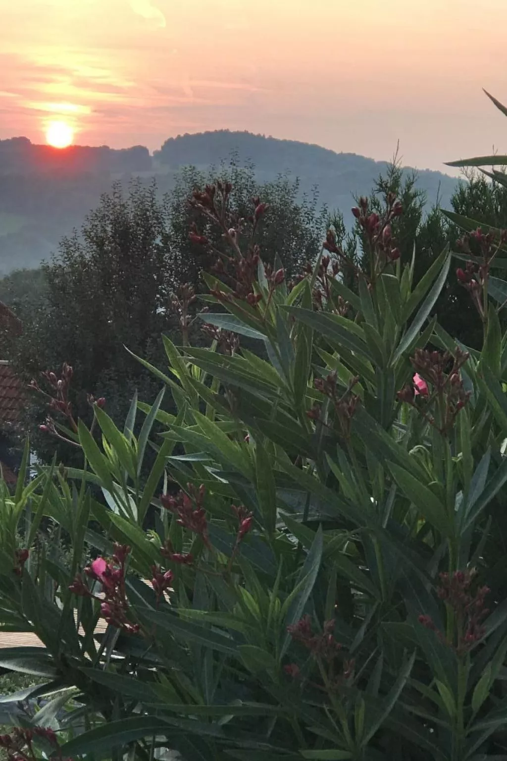 Appartement Spessart-Romantik-Buiten