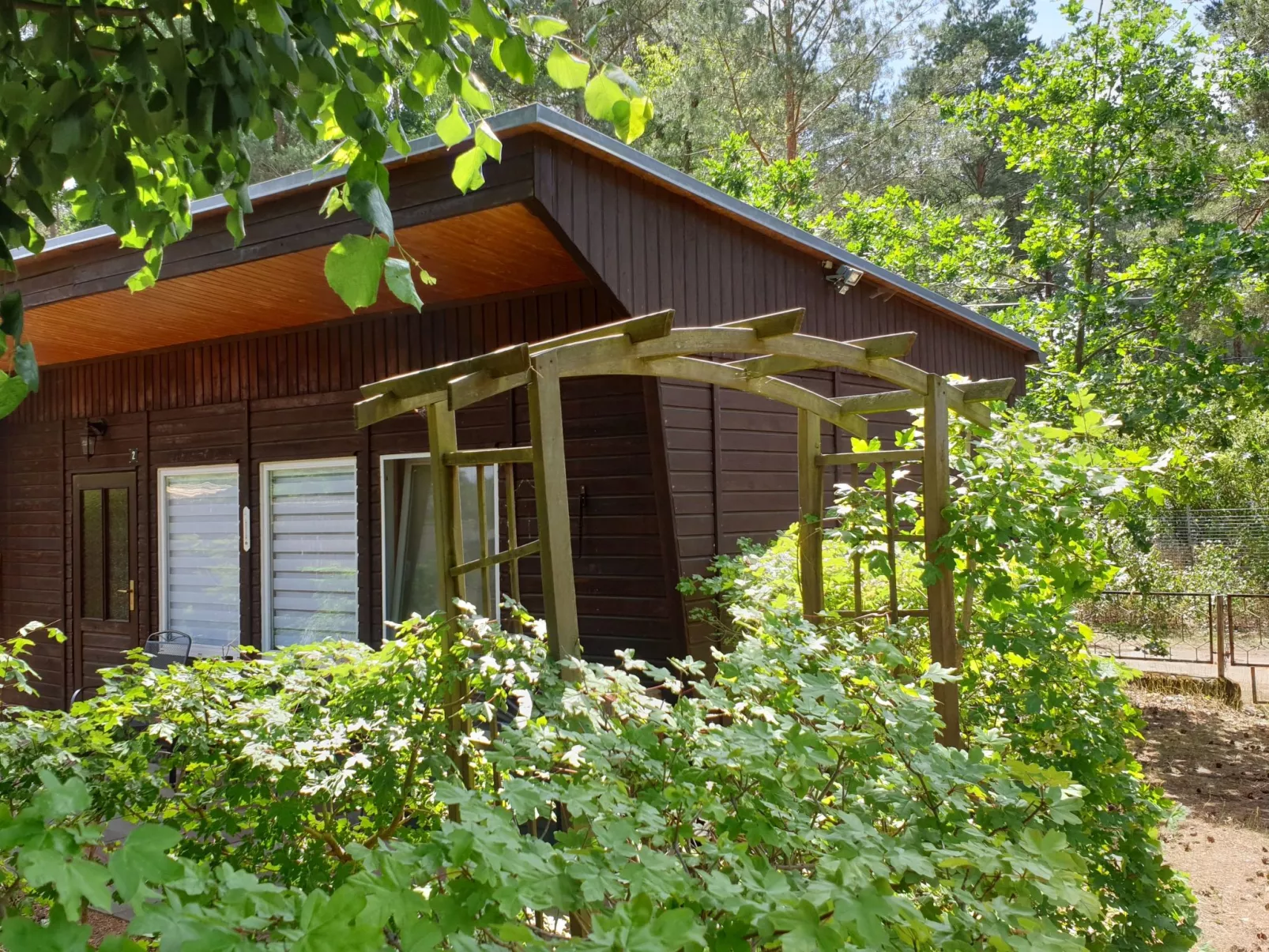 Holz-Bungalow mit Terrasse