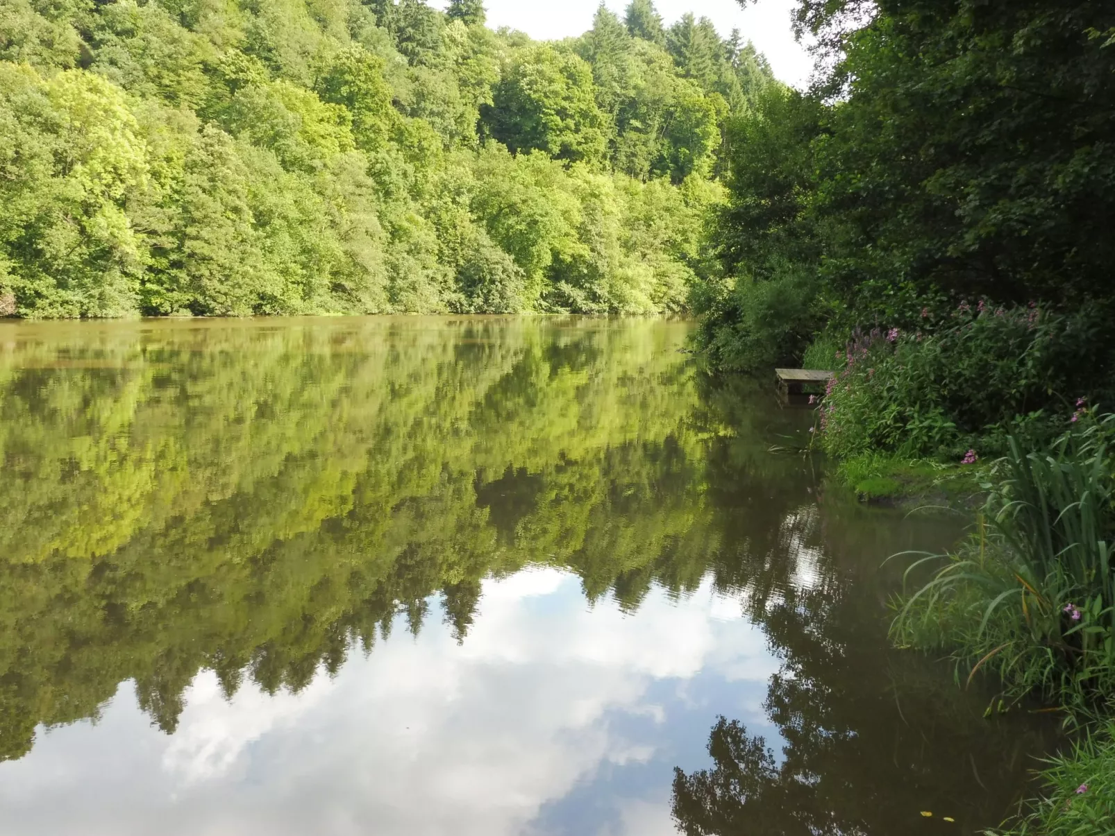 Chalet Wiedfluh in Waldbreitbach
