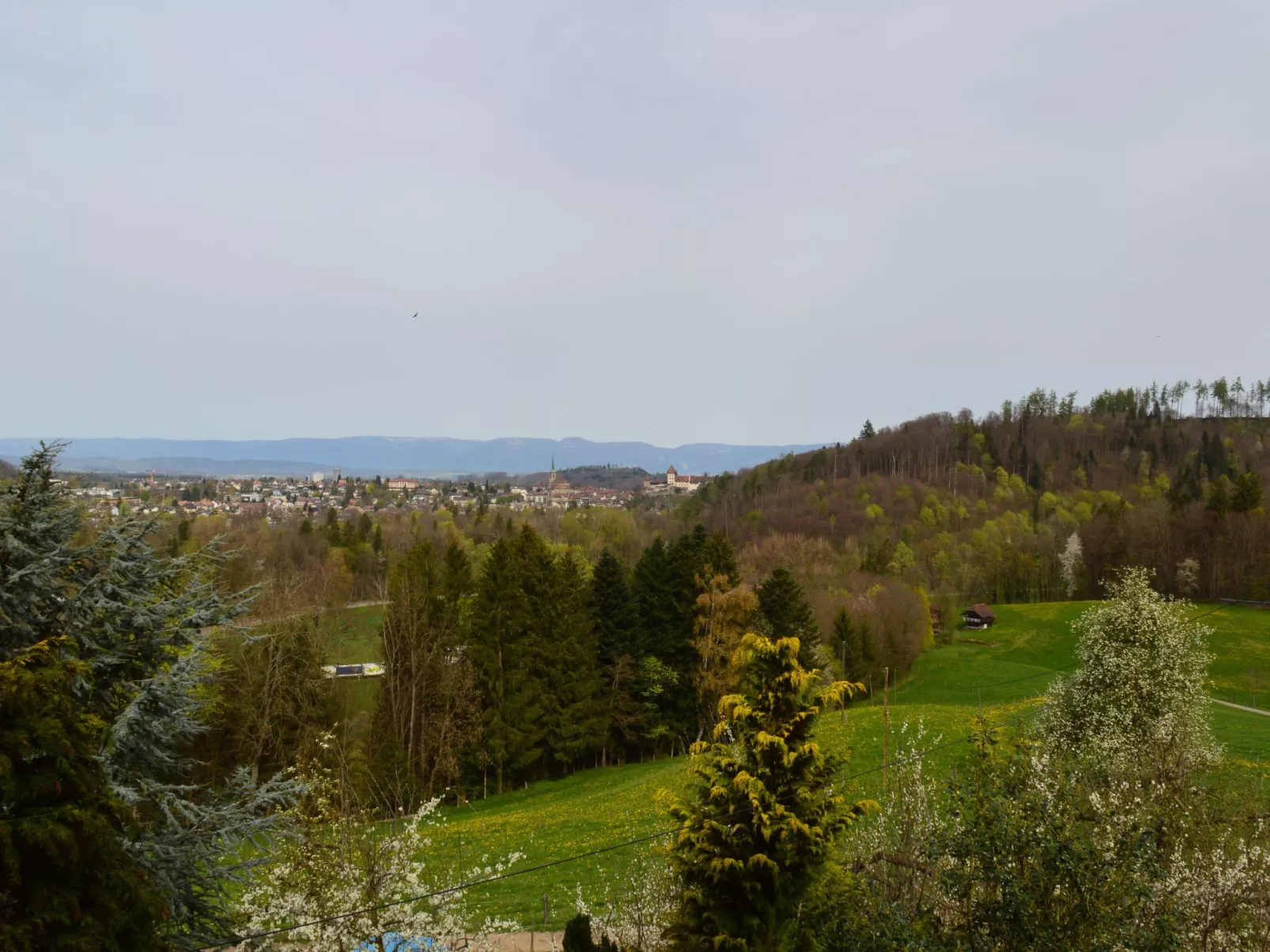 Bättwil-Buiten