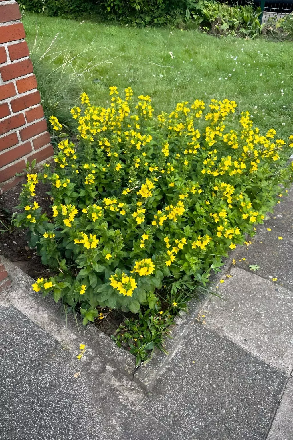 Ap. NeuenHOUSE I-Buiten