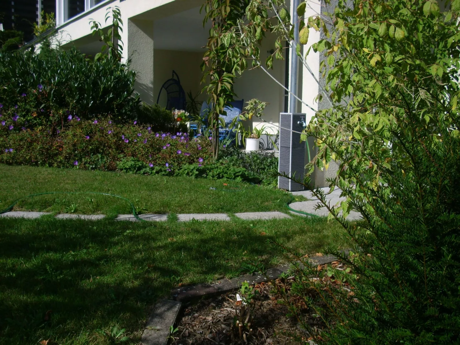 Ingrid-Image-tags.info