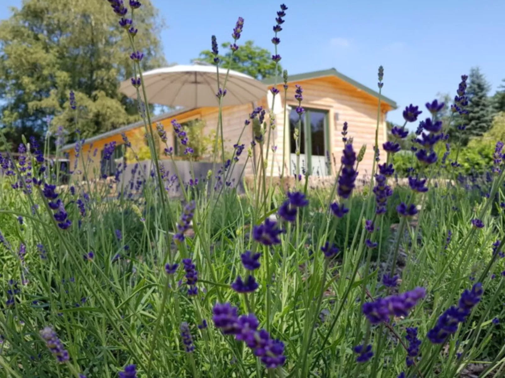 In Atzenhain mit Großer Terrasse