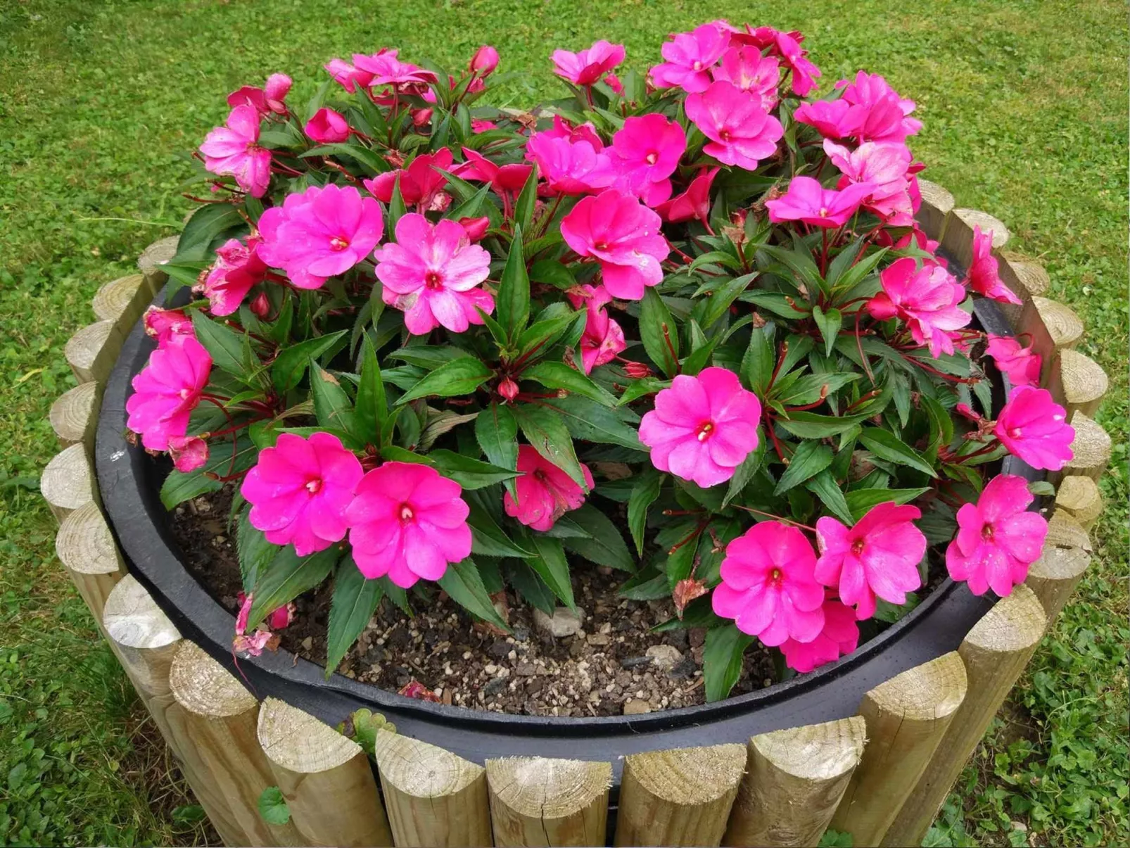 Mit eigener Sonnenterrasse