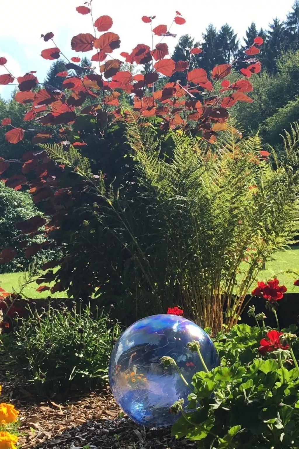 In Oberlahr mit Großem Garten-Buiten