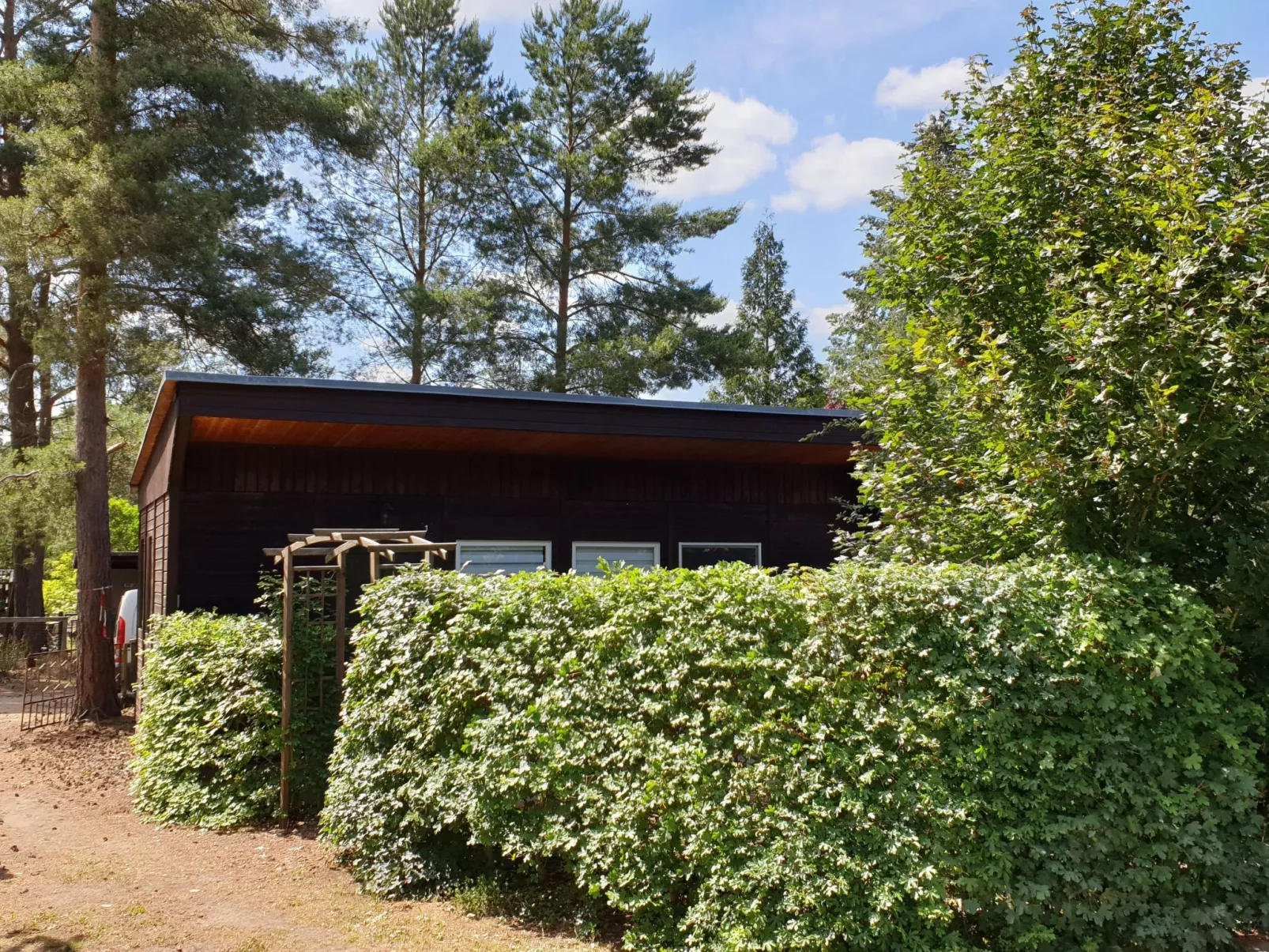 Holz-Bungalow mit Terrasse