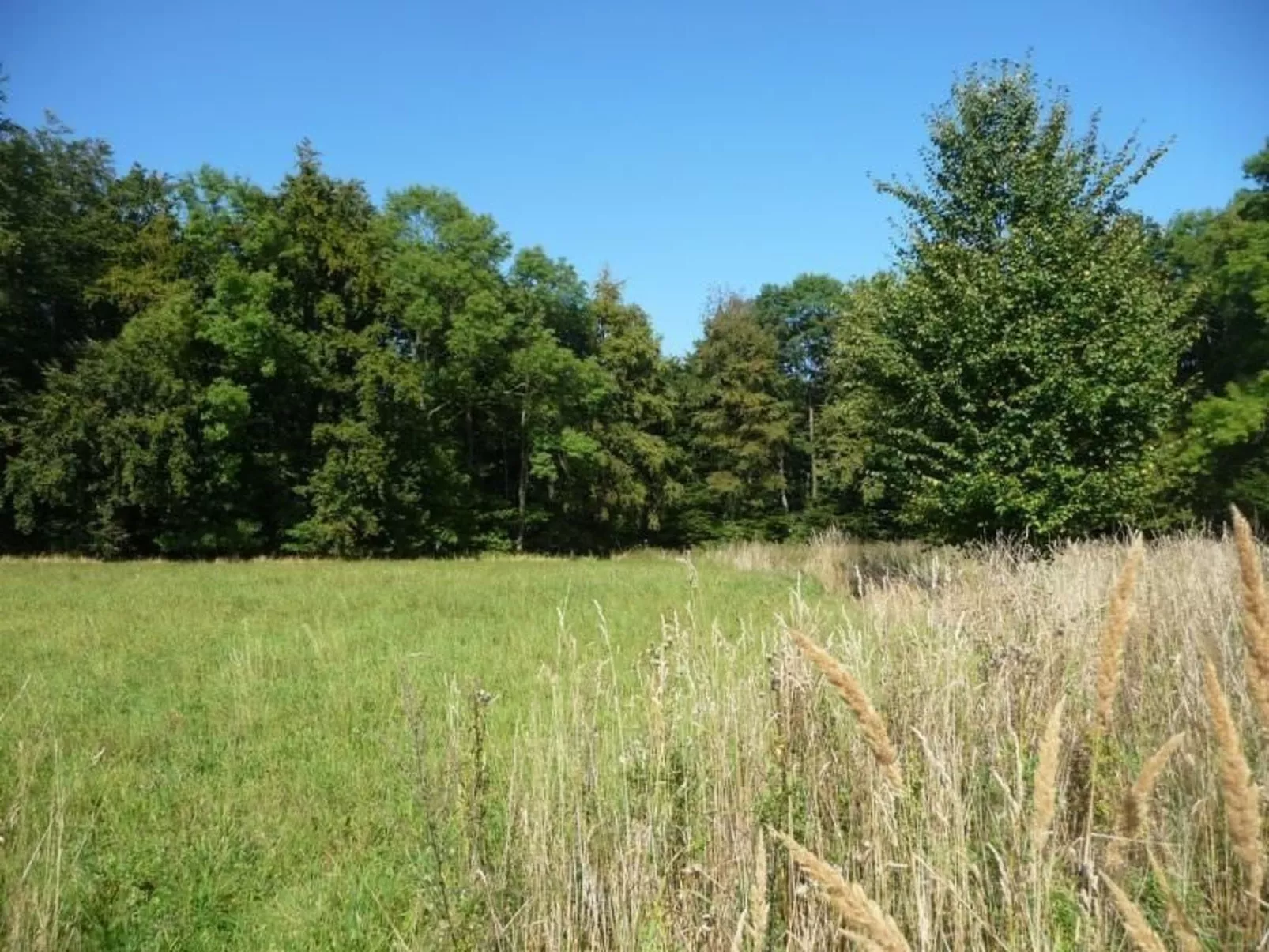 An den Tannen 31-Buiten