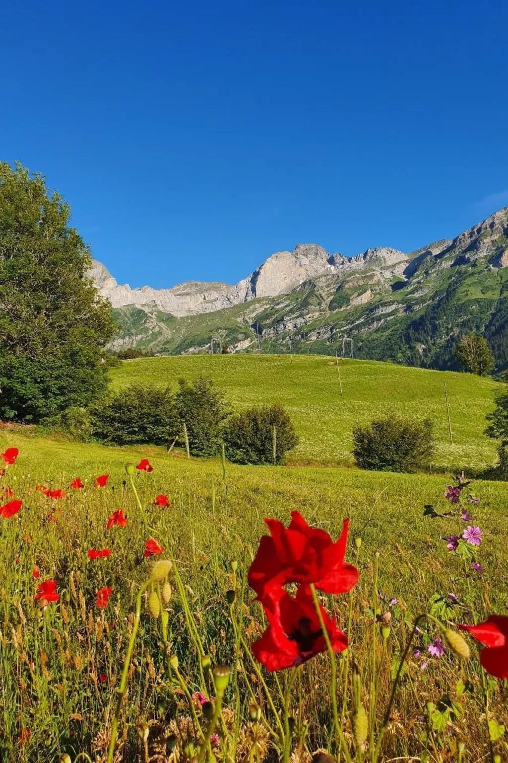 Musikheim-Image-tags.info