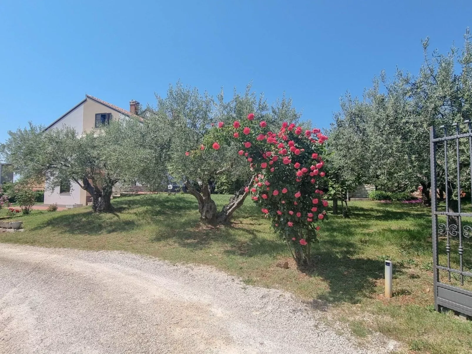 Einzimmerwohnung "Nadja 2" mit Terrasse-Buiten