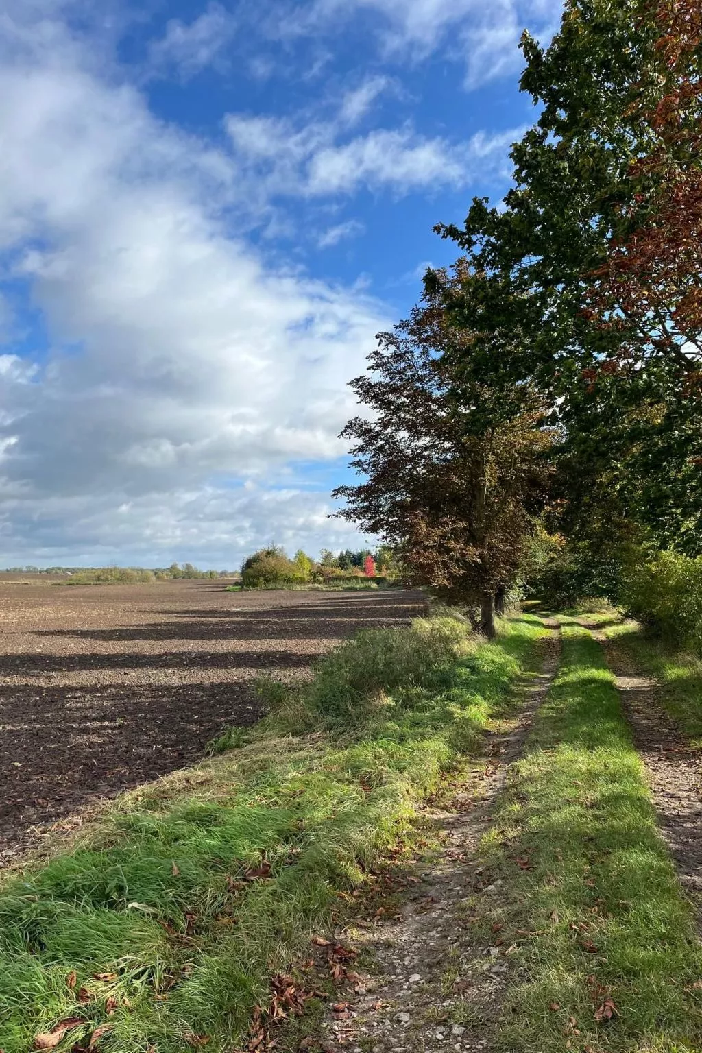Landurlaub Mecklenburgische Seenplatte b. Waren Müritz