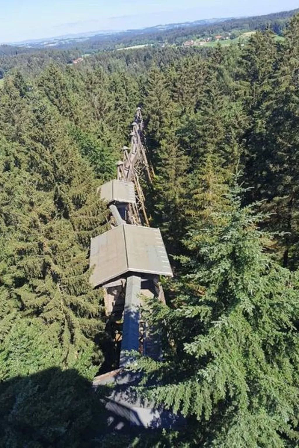 Wohnung mit möblierter Terrasse und Waldblick