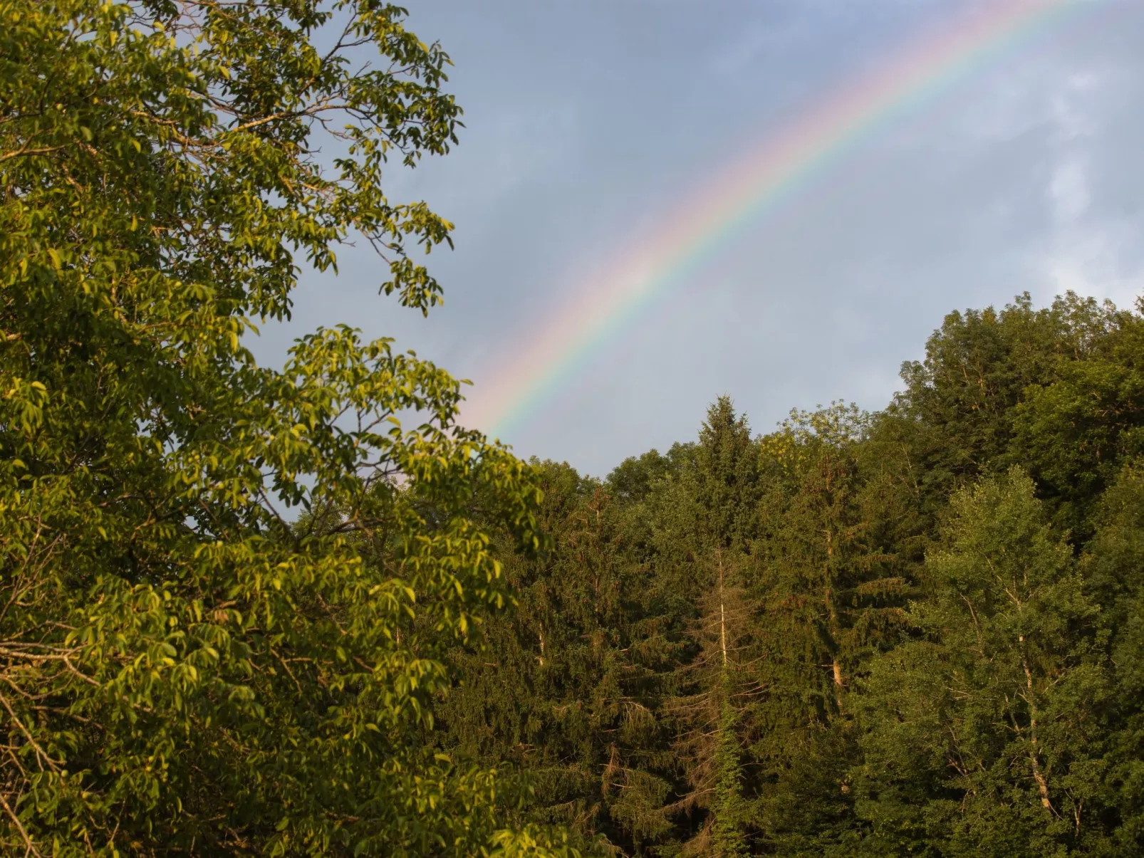Chateau Duplex Ferme