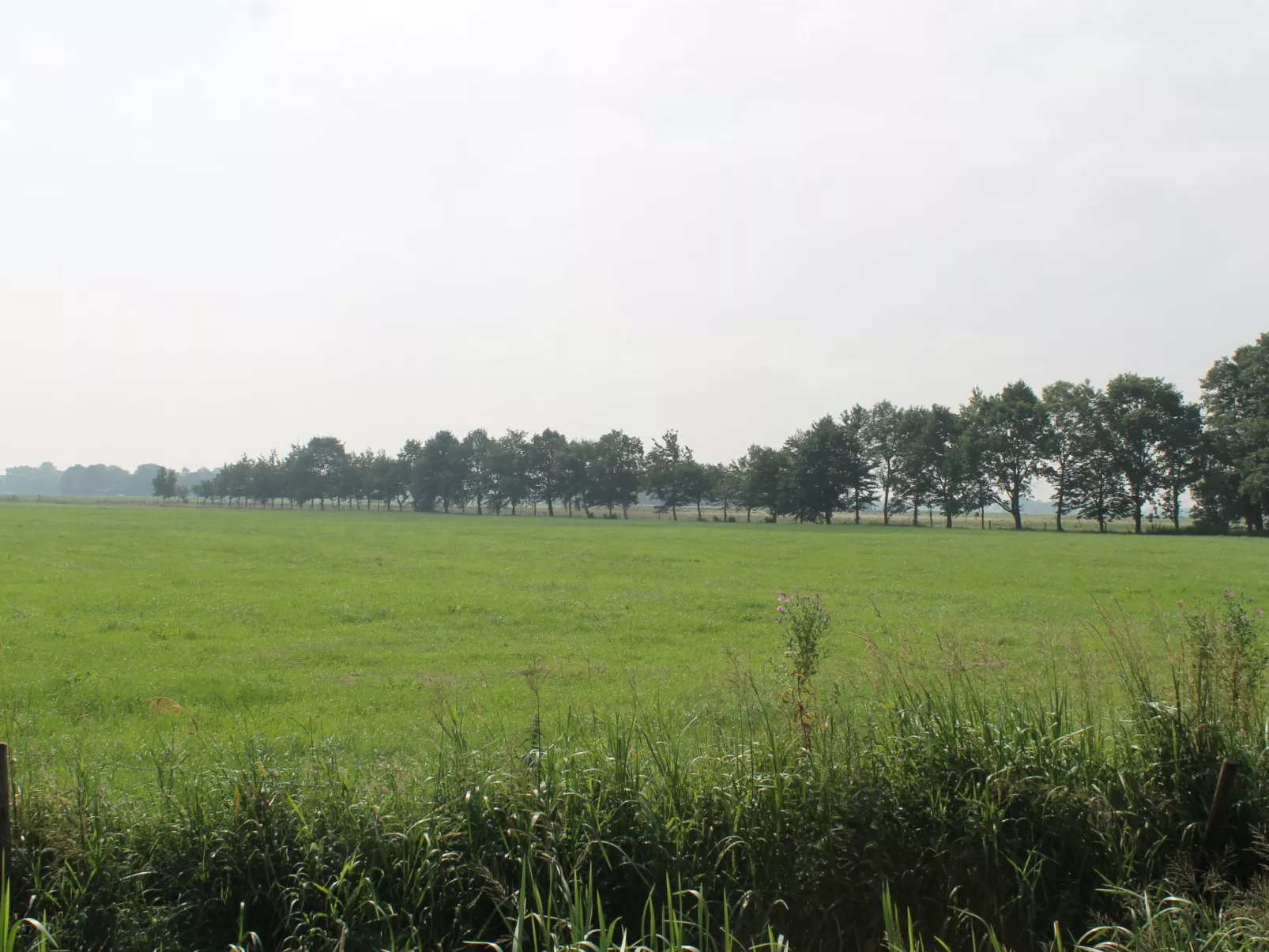 Gemütliche Wohnung in Norderschweiburg