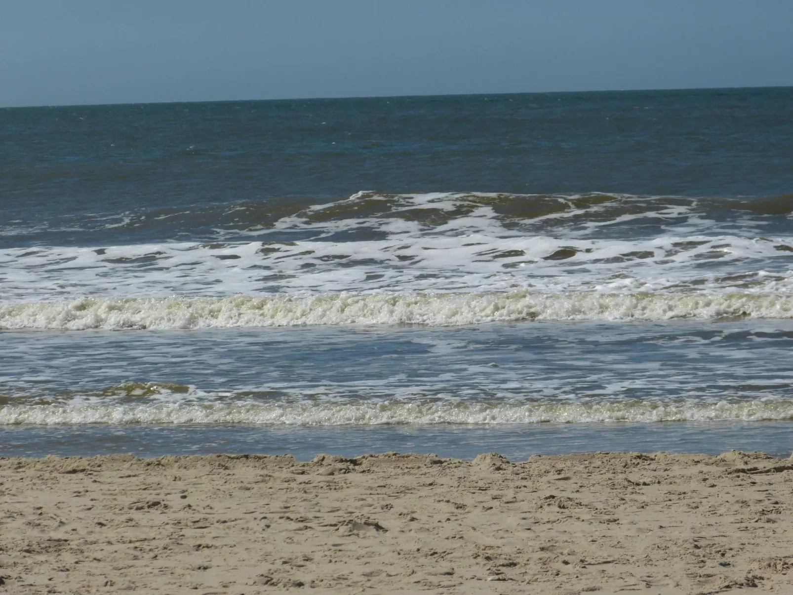 Groenhart-Image-tags.info