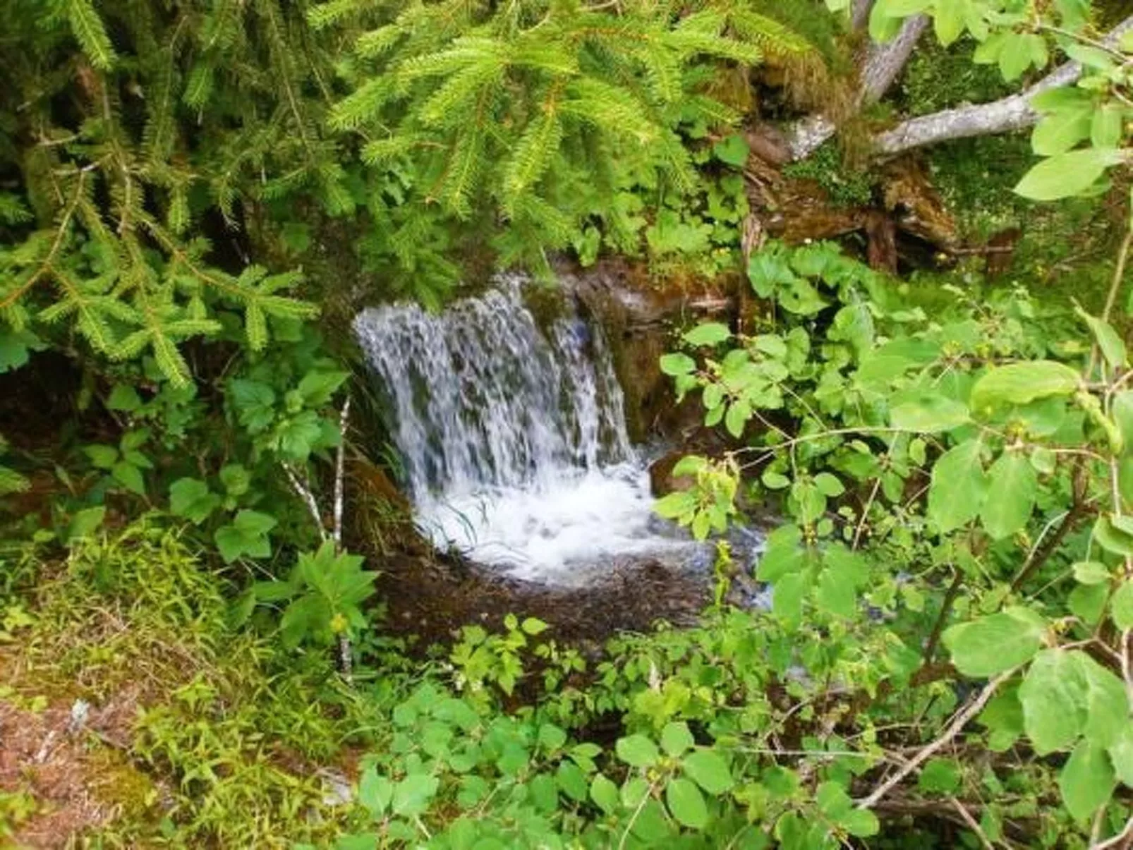 Alte typische Engadinermühle