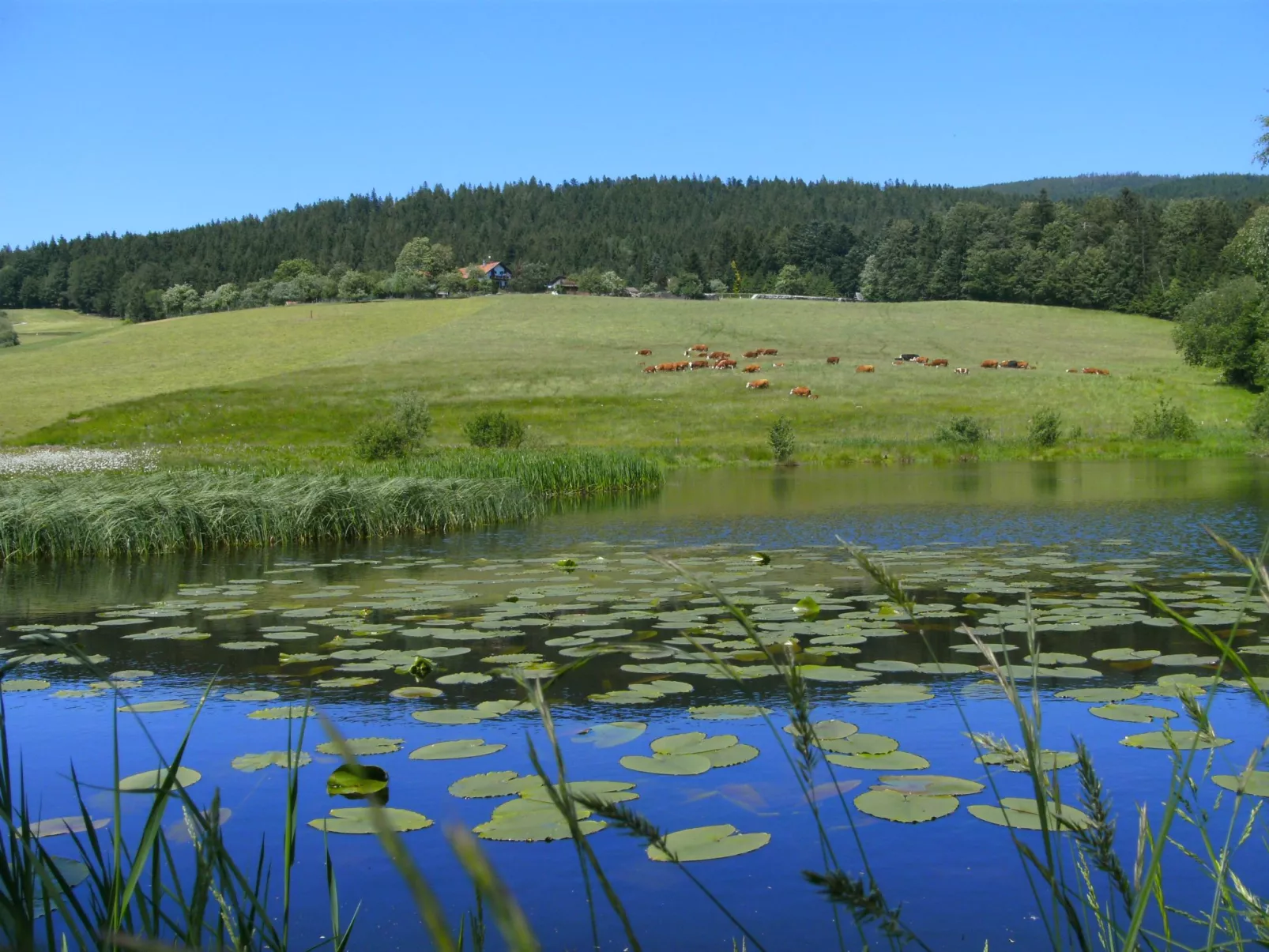 Für 4 Personen im Bayerischen Wald-Buiten