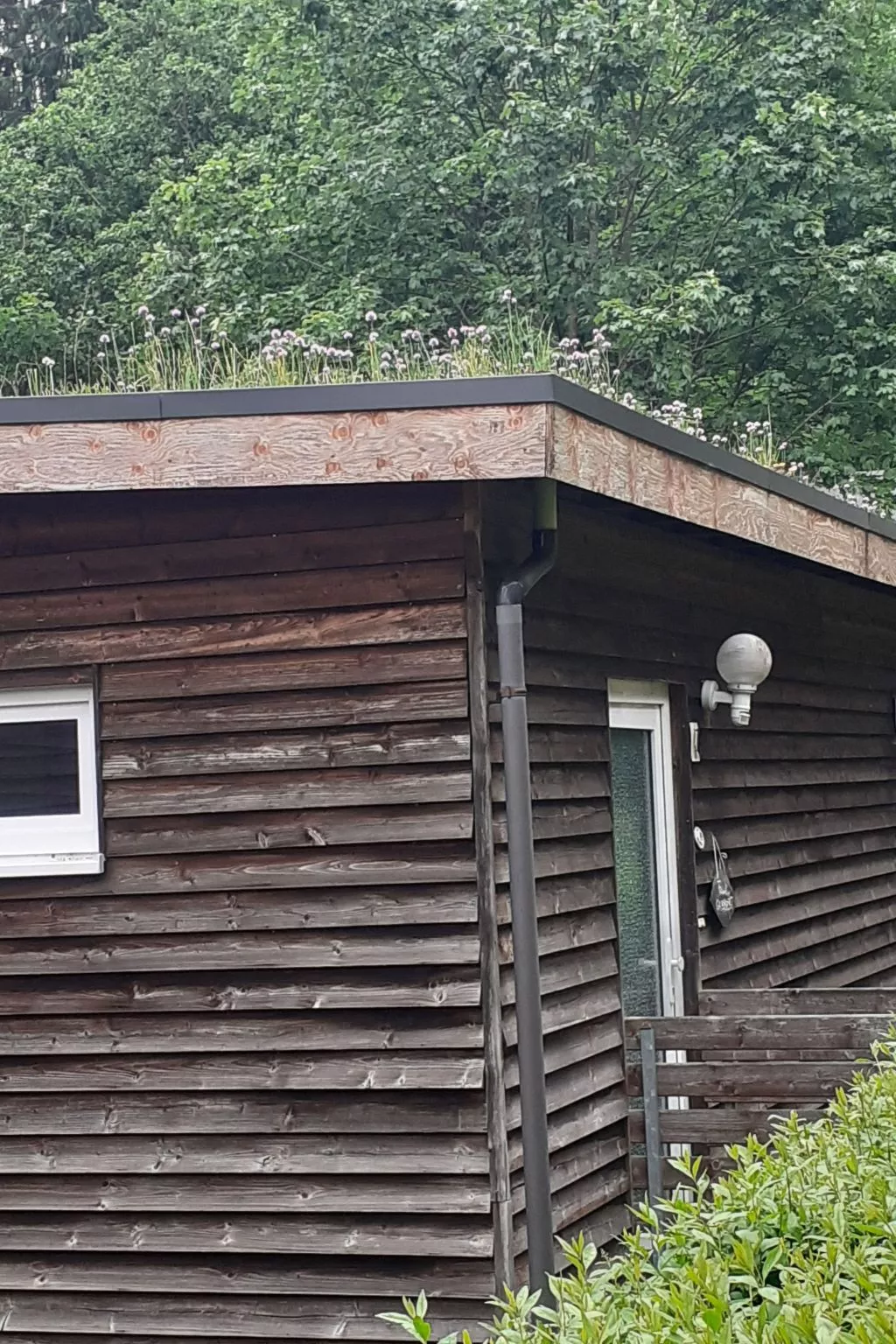 Für 6 Personen im Thüringer Wald-Buiten