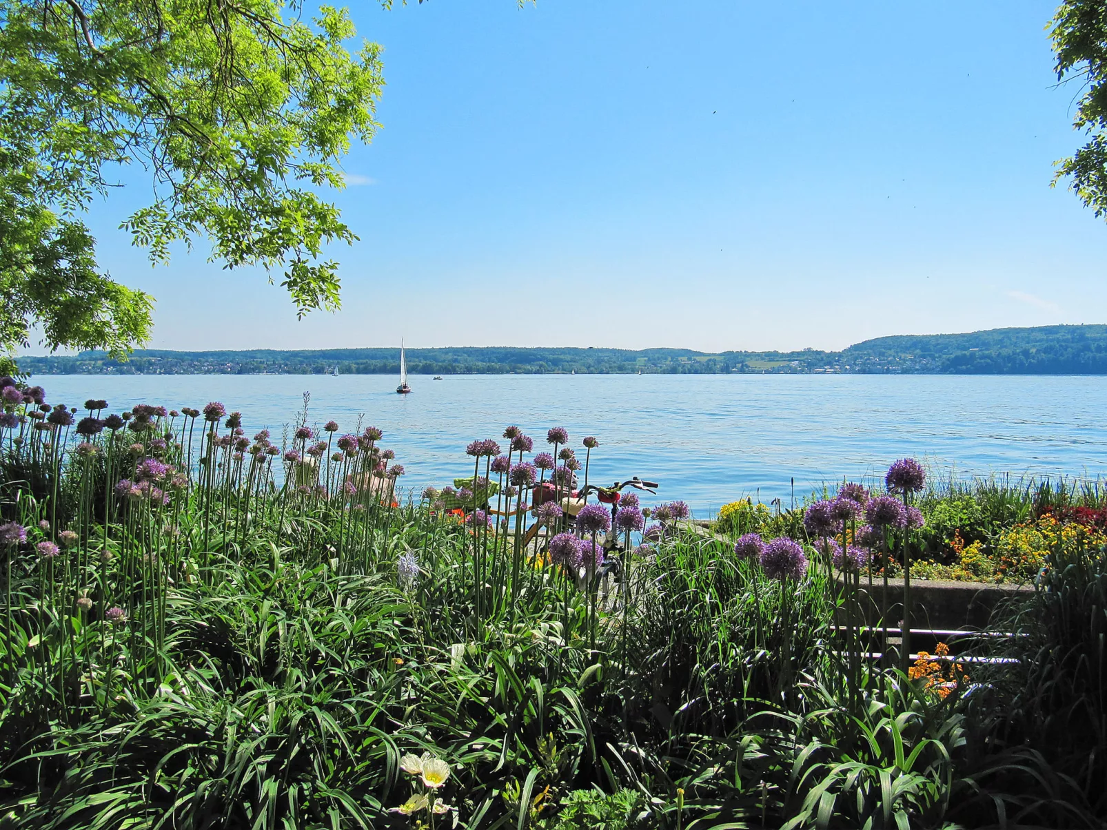 3-Zimmer-Fewo mit herrlichem Seeblick-Omgeving