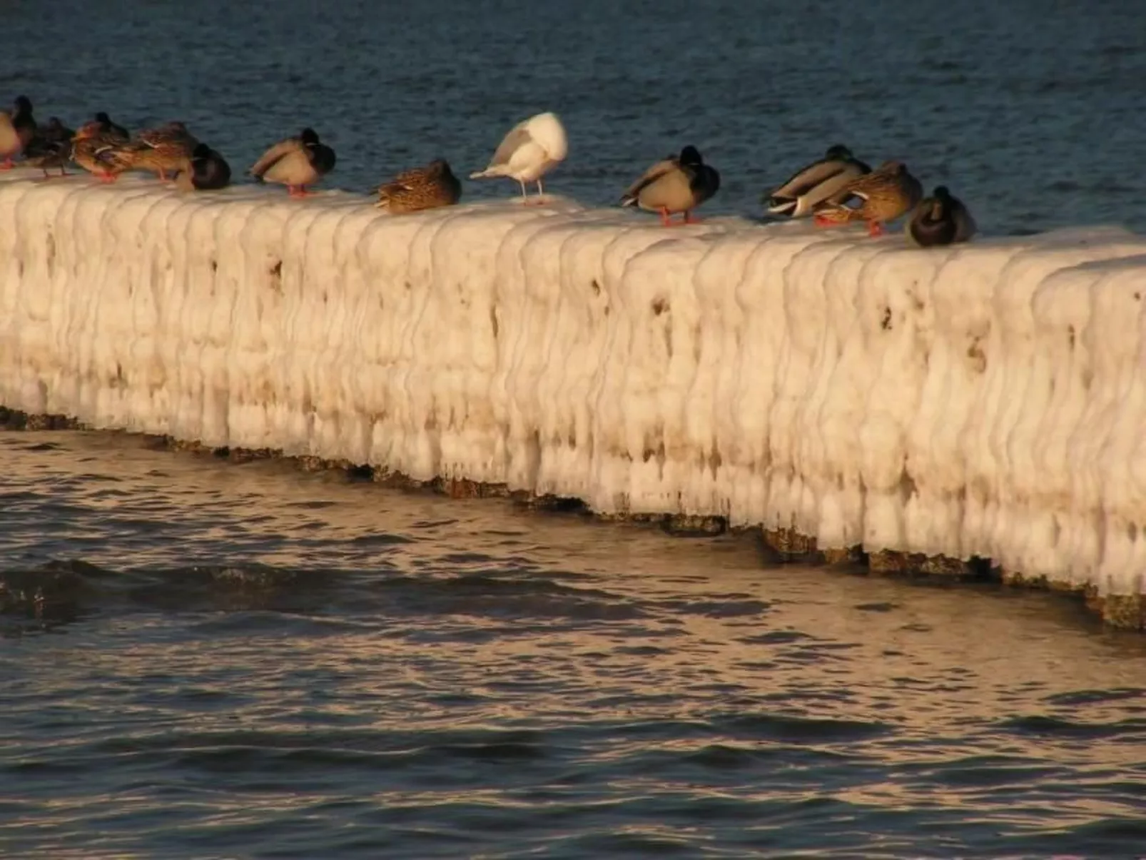 Strandnahe Wohnung mit Terrasse und Parkplatz