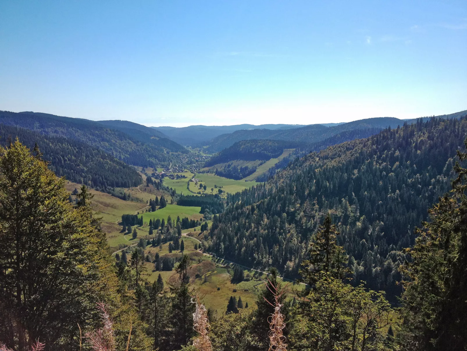 Haus Maria Hochschwarzwald, Garten umzäunt, Waldrand, Hunde willkommen