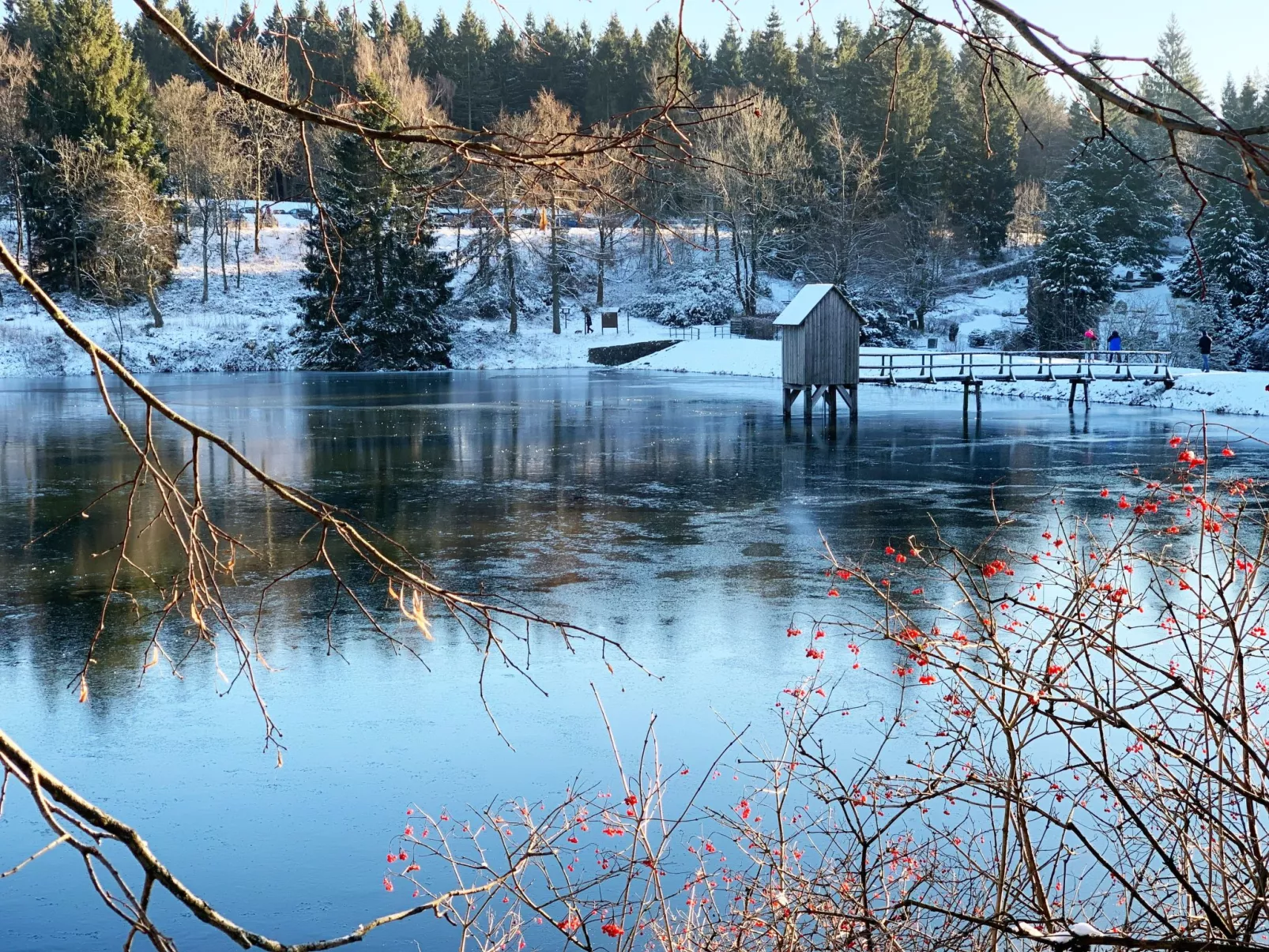 Ferienwohnung mit Infrarotwärmekabine - Buiten