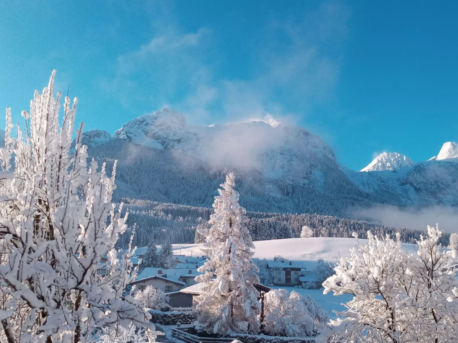 Gsenger in Abtenau-Buiten