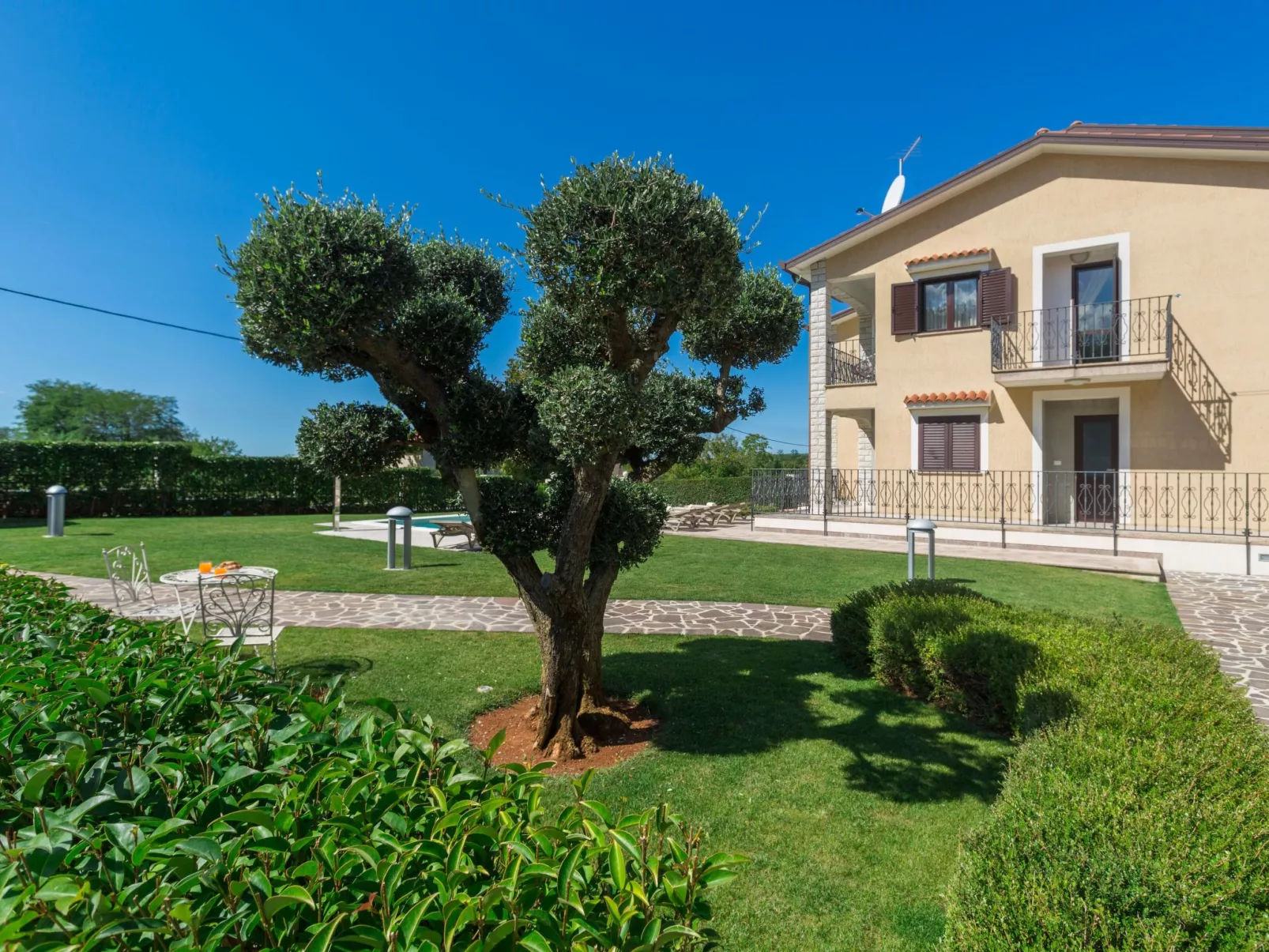 Mihael-Image-tags.info