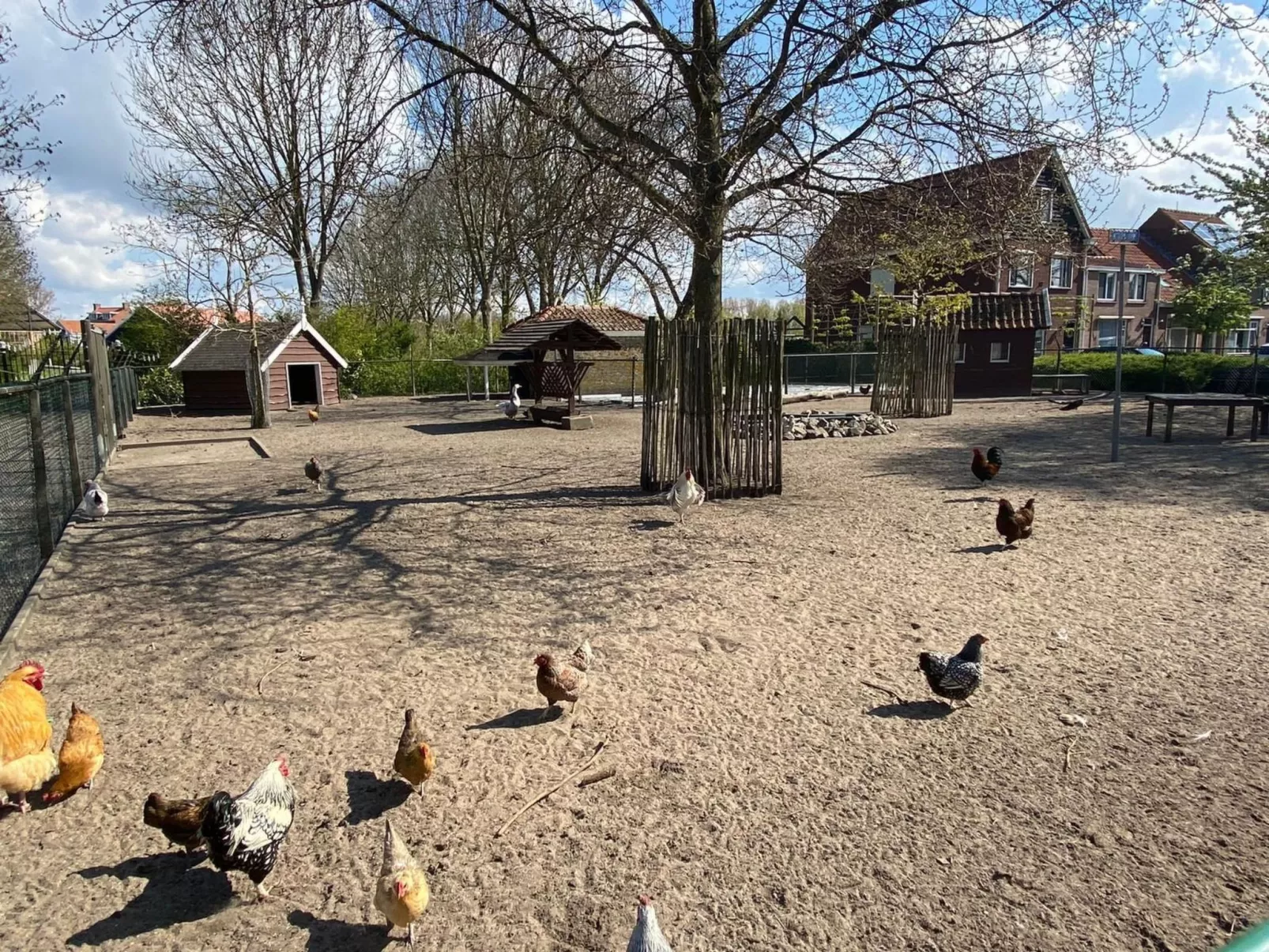 "Buurtweg213" mit Schwimmbad-Buiten