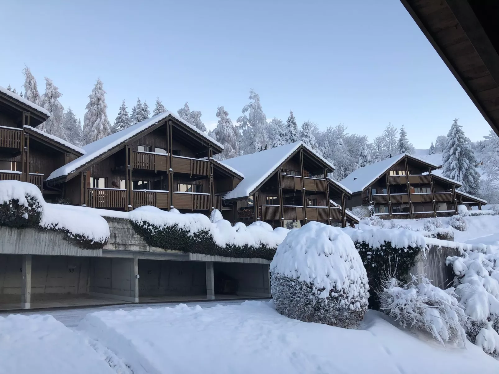 Sunny retreat-Buiten