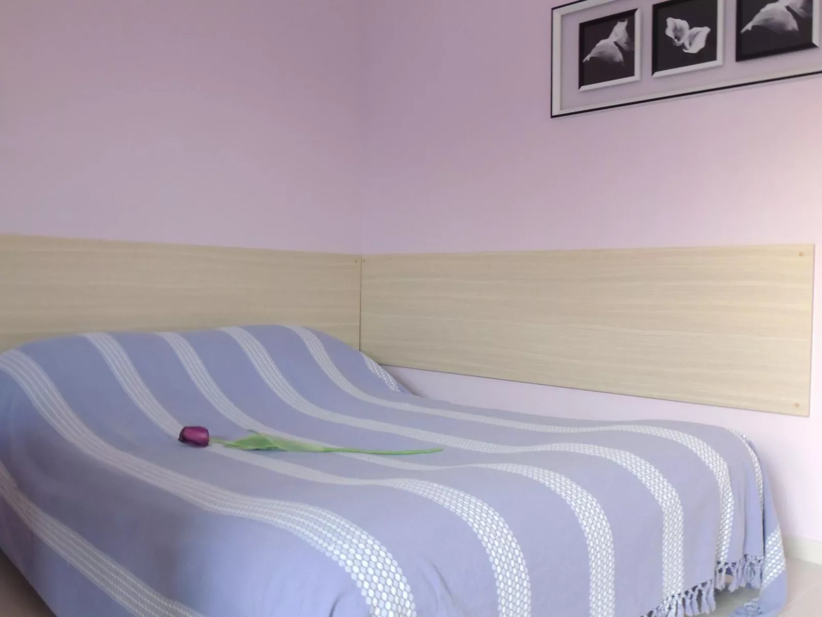 Apartment mit Balkon