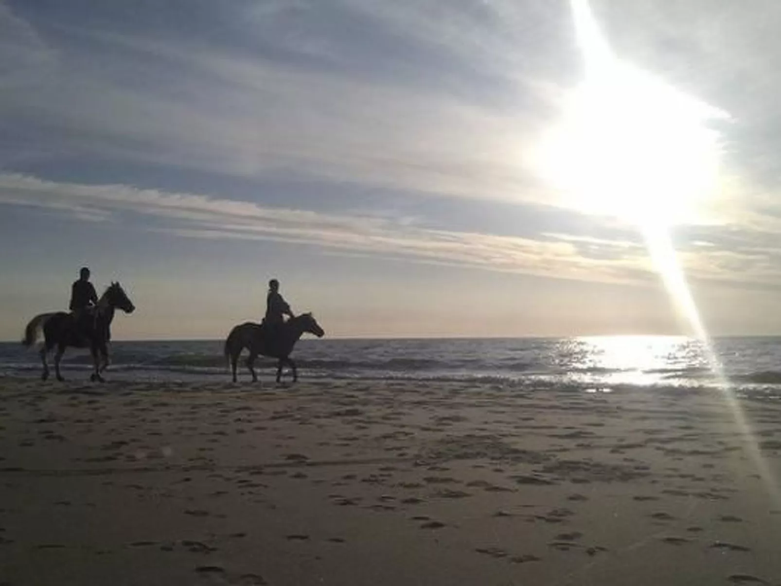 Gemütliches Holzferienhaus mit Grill und Garten-Image-tags.info