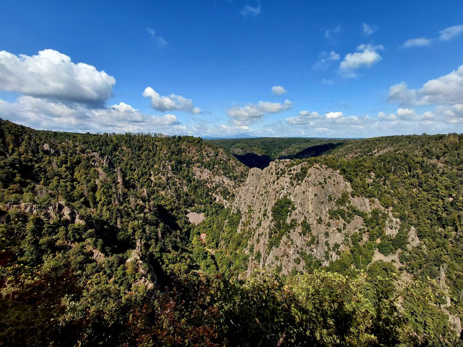 Wanderfalke II-Buiten