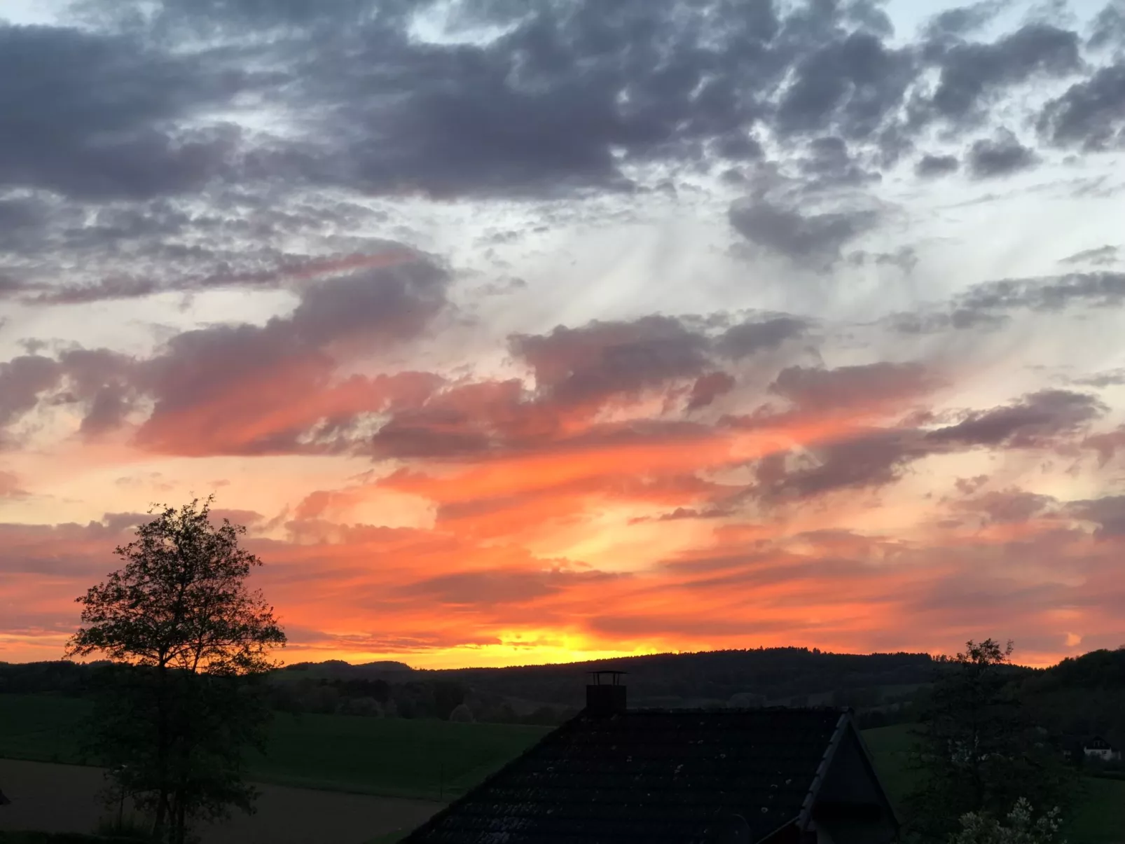 Charly in Kirchheim Seepark