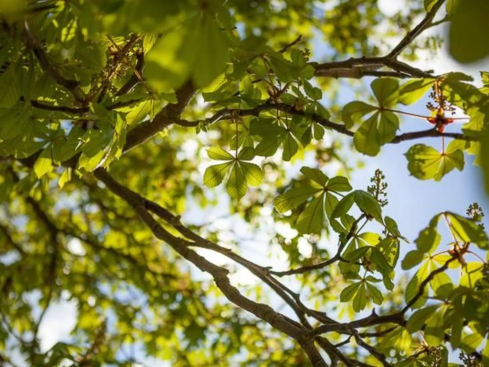 Am Rückerlhof - Moni