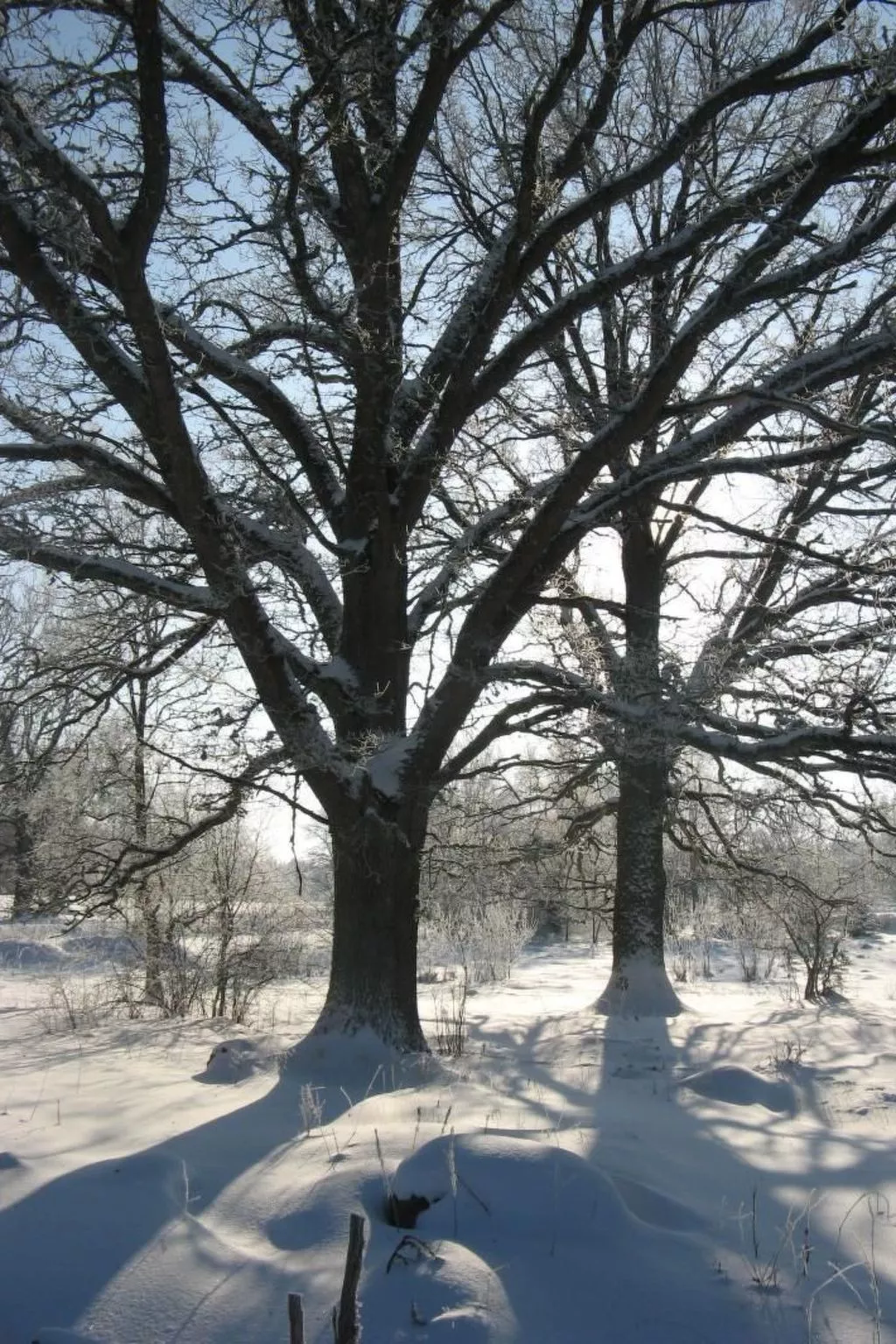 Idyllisches Bauernhaus in Småland