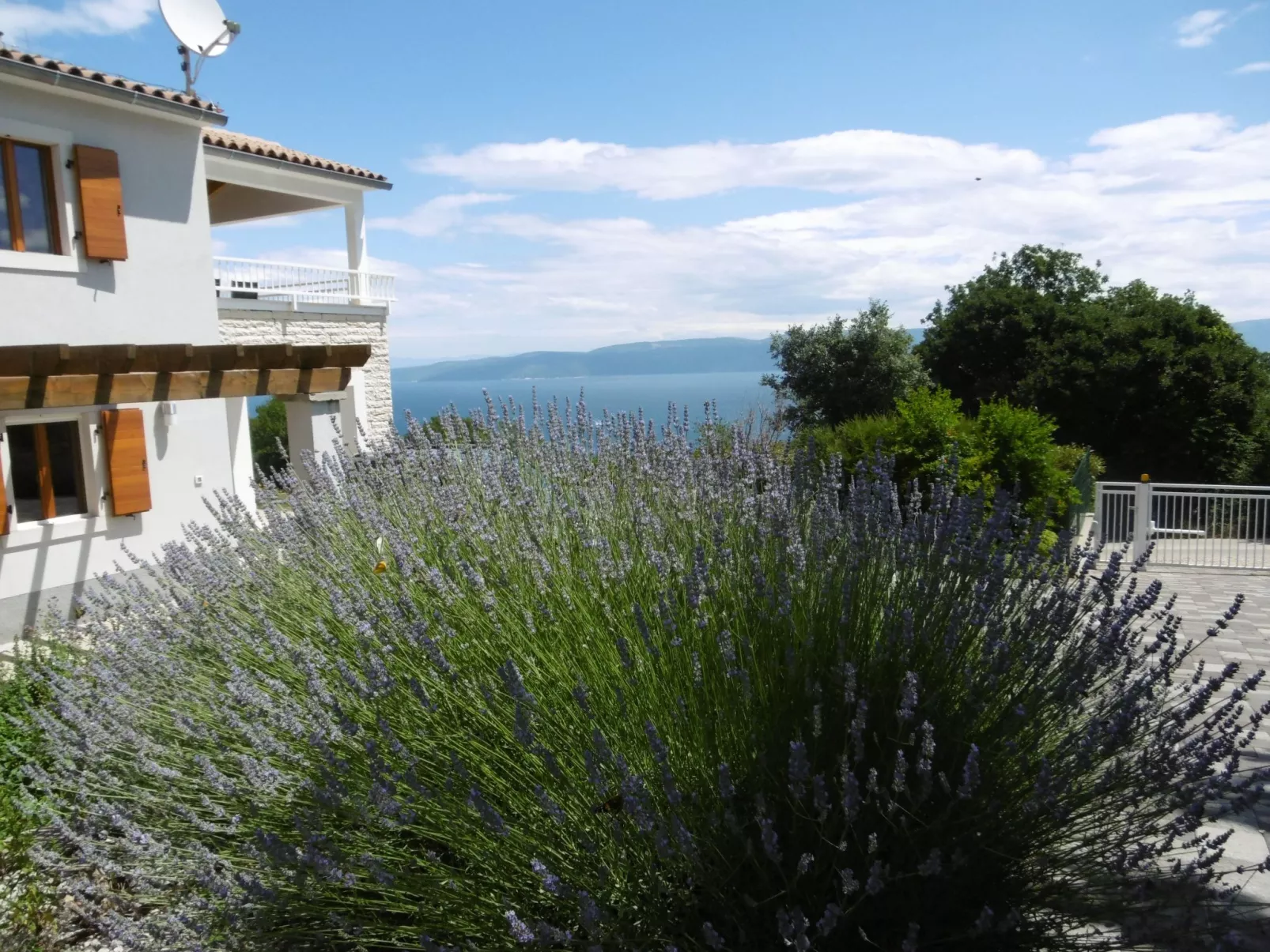 Isabel und Immo-Buiten