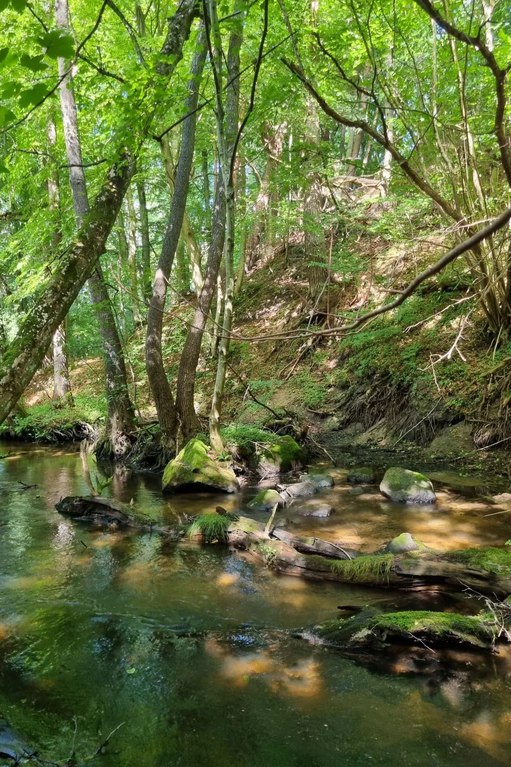 Lublewo21 Ferienhäuser - Buiten