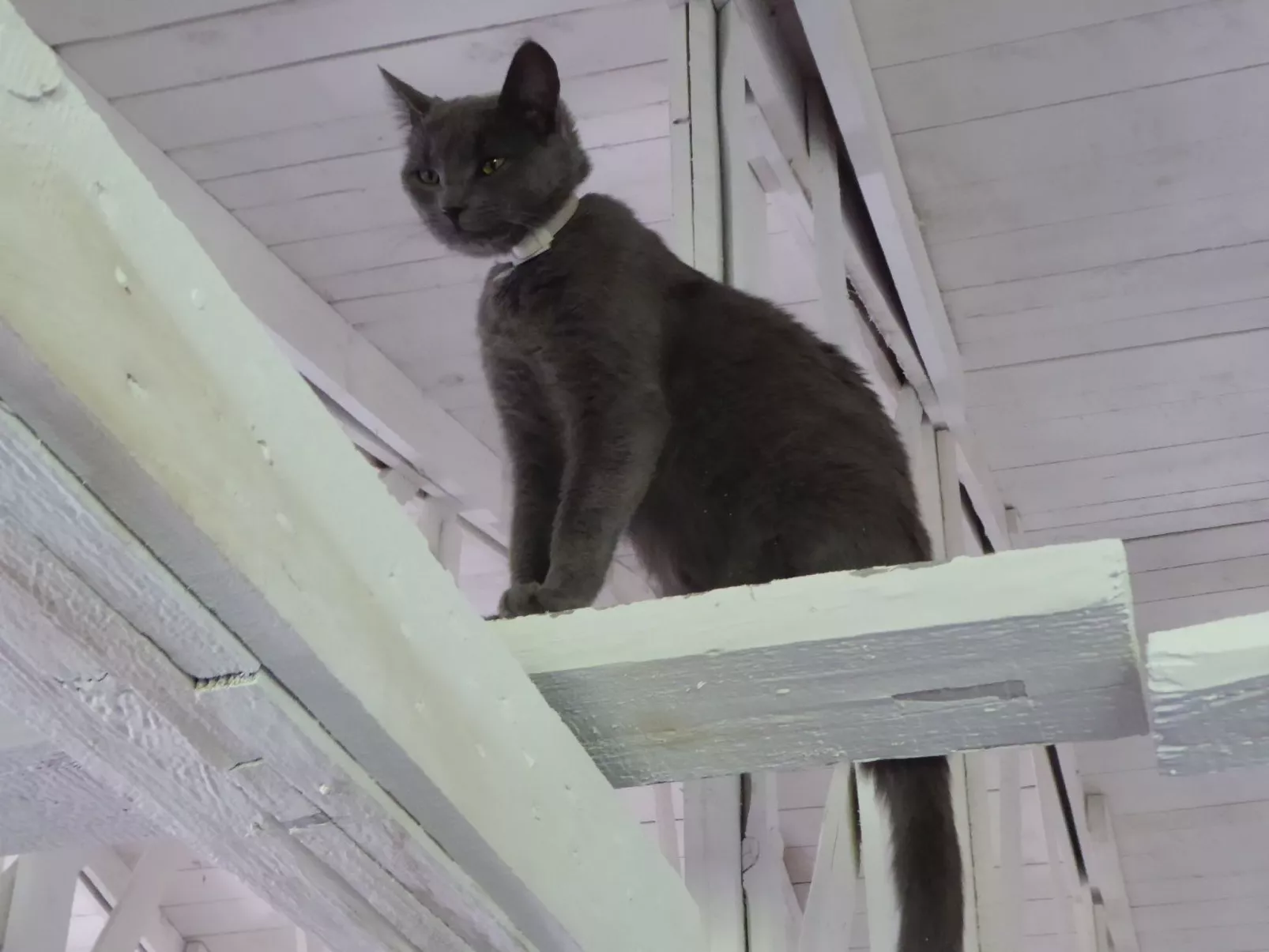 Hochwertige Ferienwohnung in Gingst-Buiten