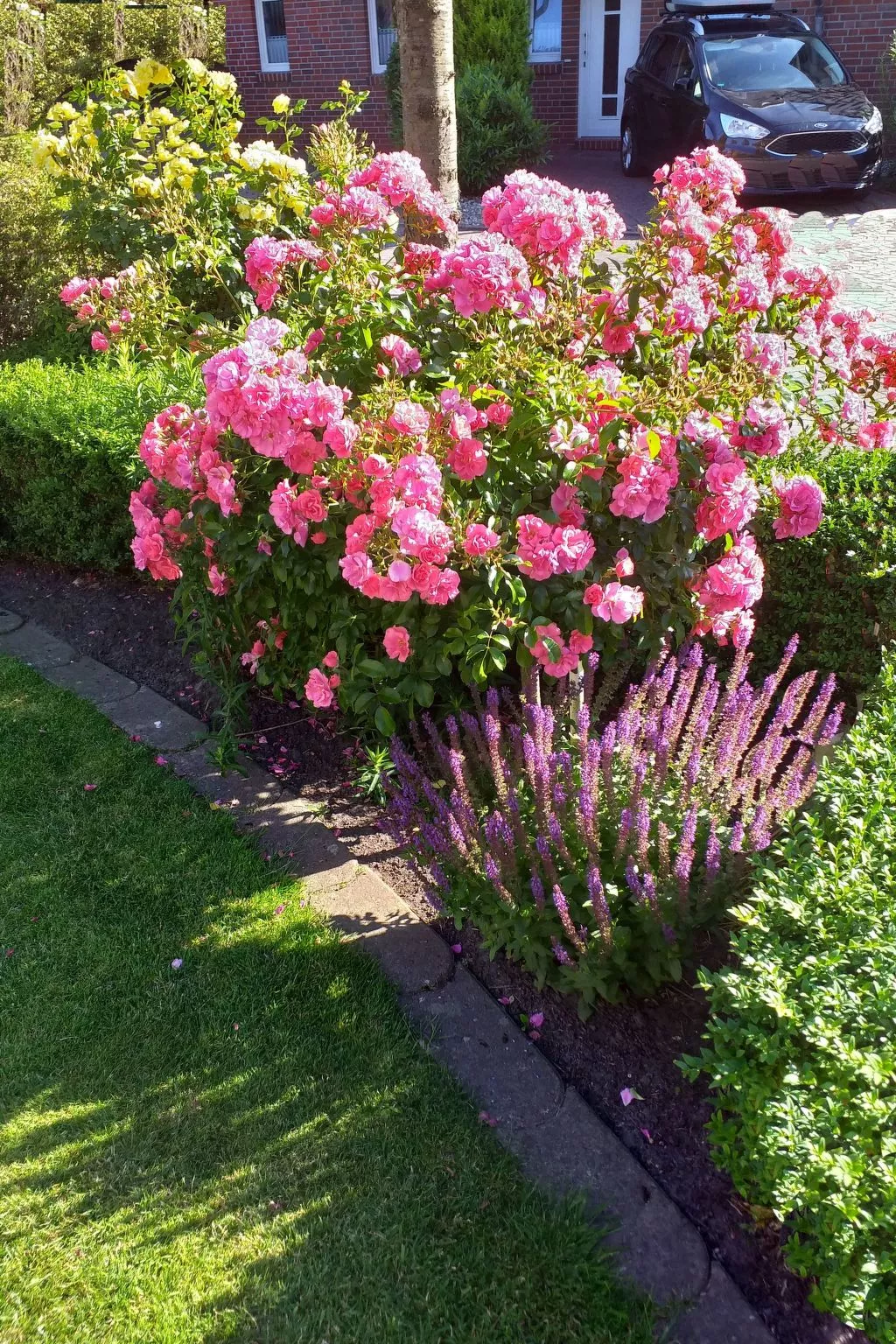 Strandnah Ilse Hans-Image-tags.info